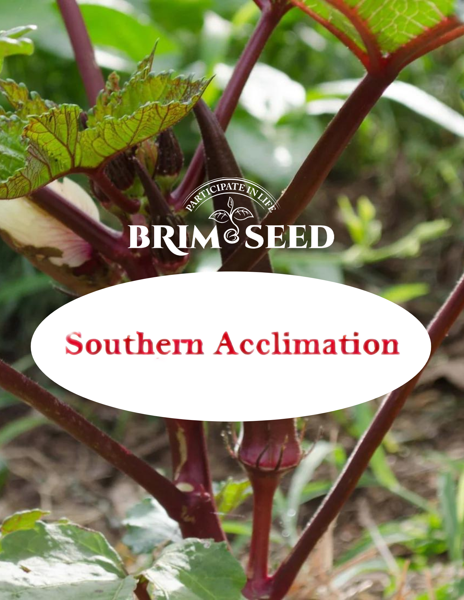 Southern Acclimated Seeds