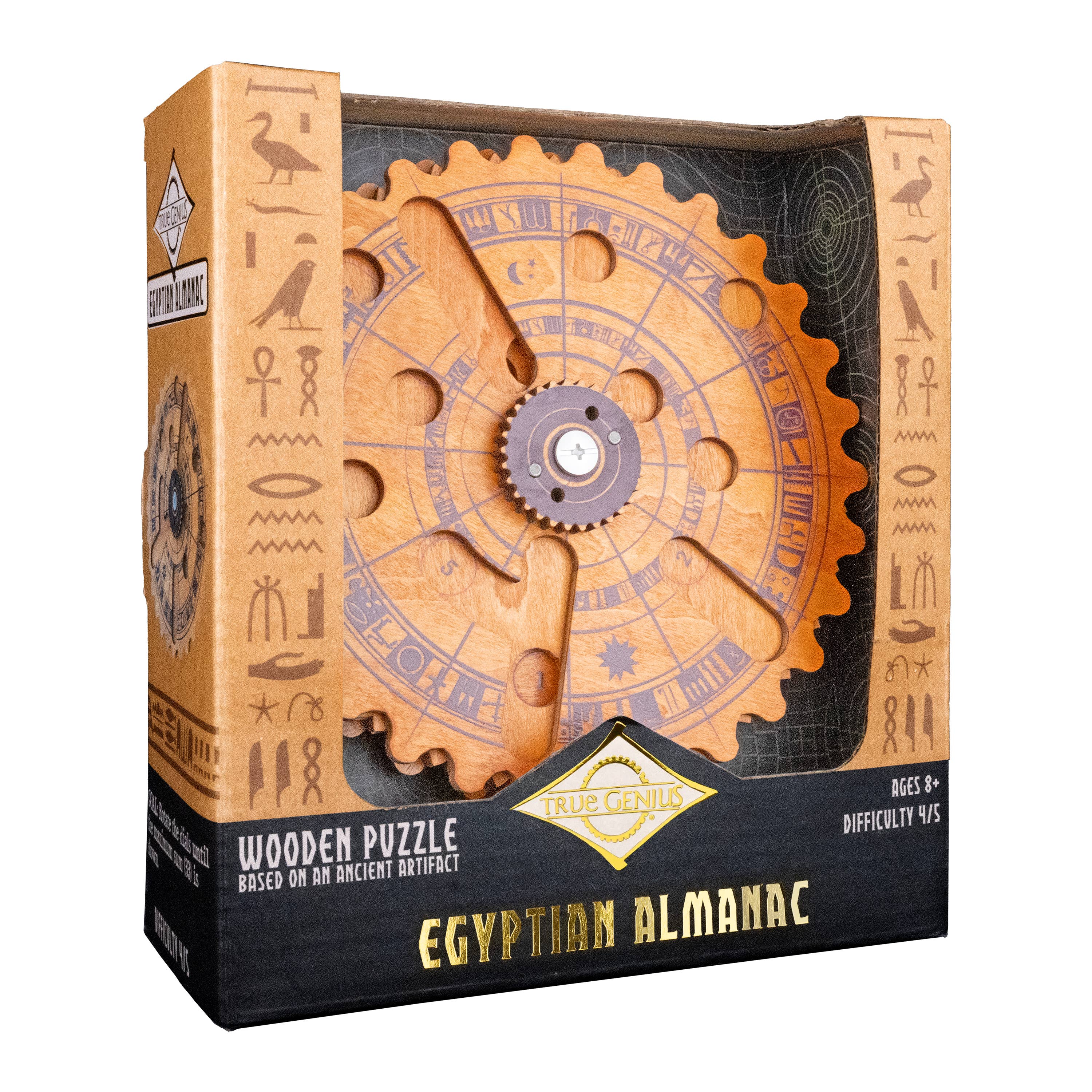 Egyptian Almanac Mathematical Brainteaser close-up detail