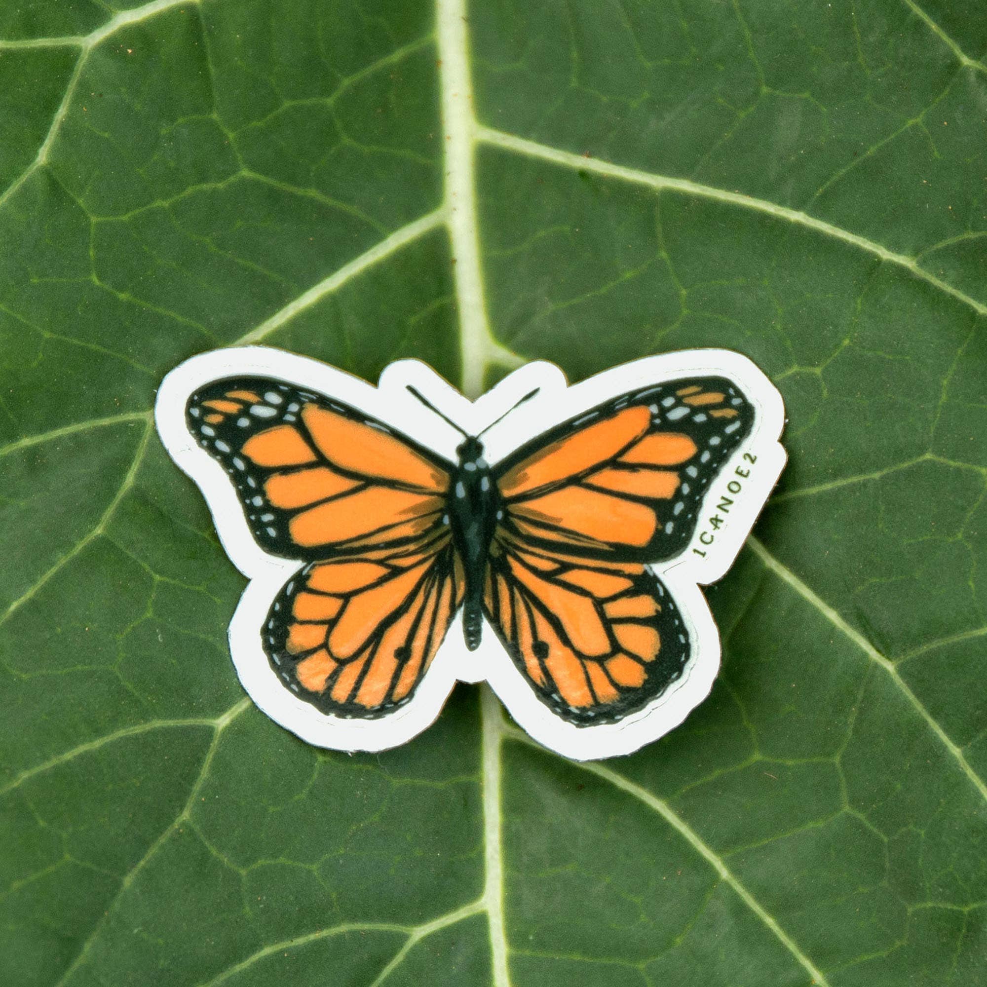 Monarch Butterfly Clear Decal Sticker