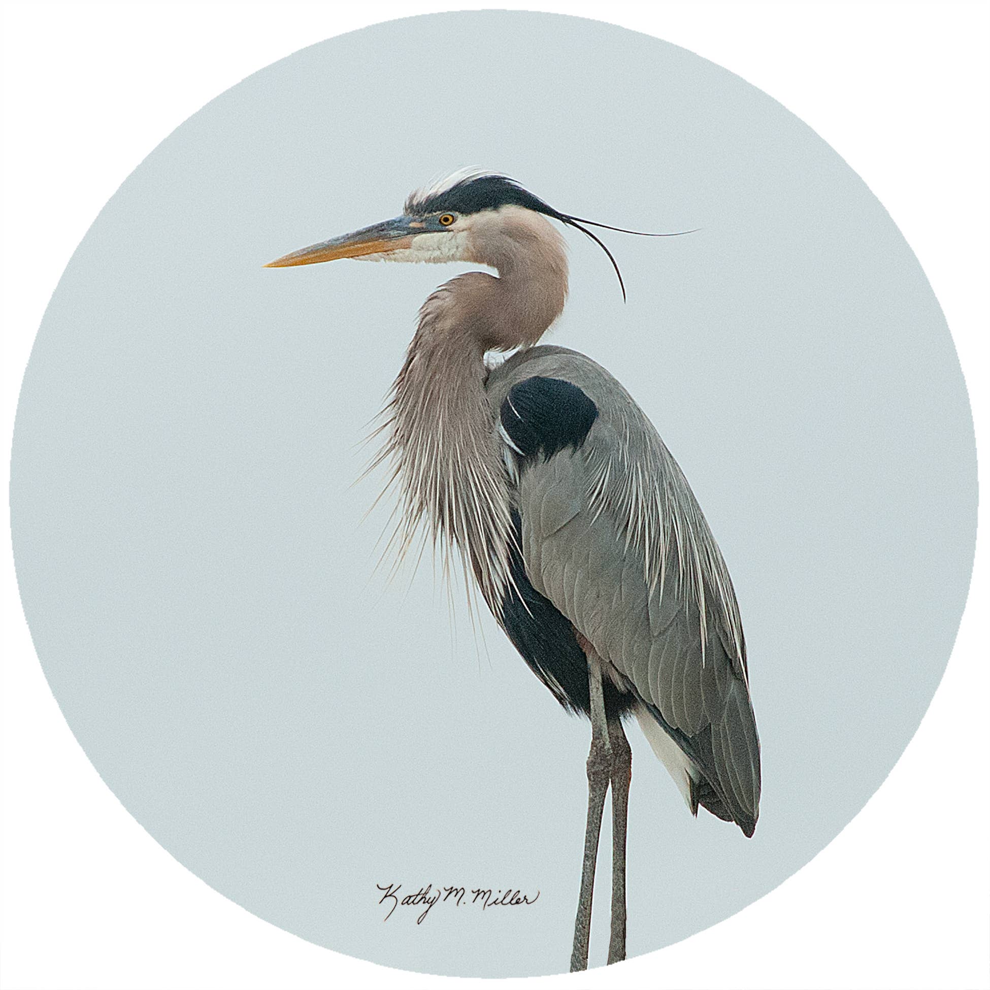 Andreas - KM Heron Jar Opener