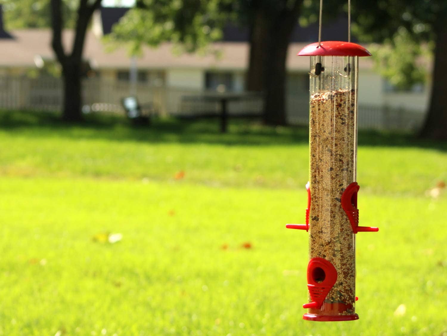 Ashman Bird Feeder, Metal Top and Bottom, Spacious Design, Attractive & Long Lasting