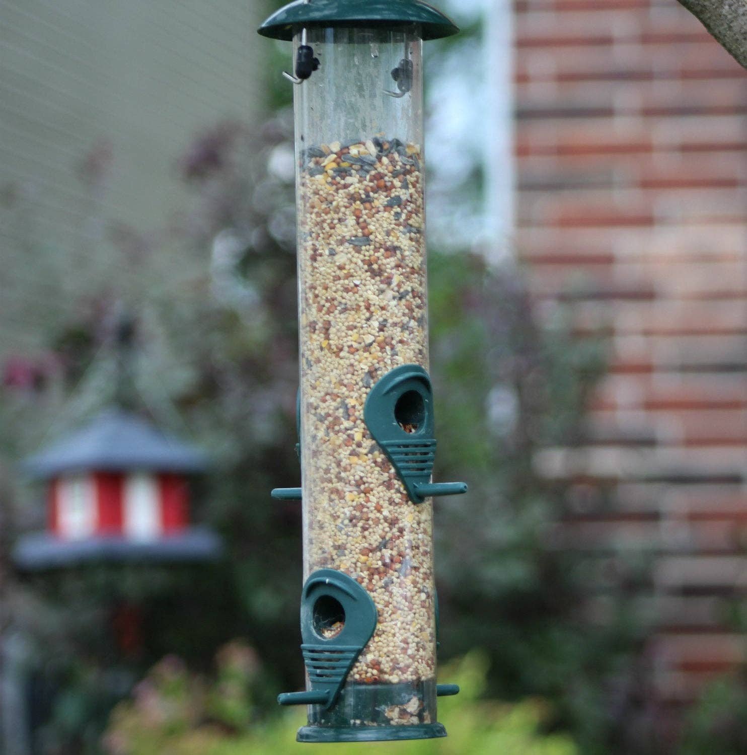 Ashman Bird Feeder, Metal Top and Bottom, Spacious Design, Attractive & Long Lasting
