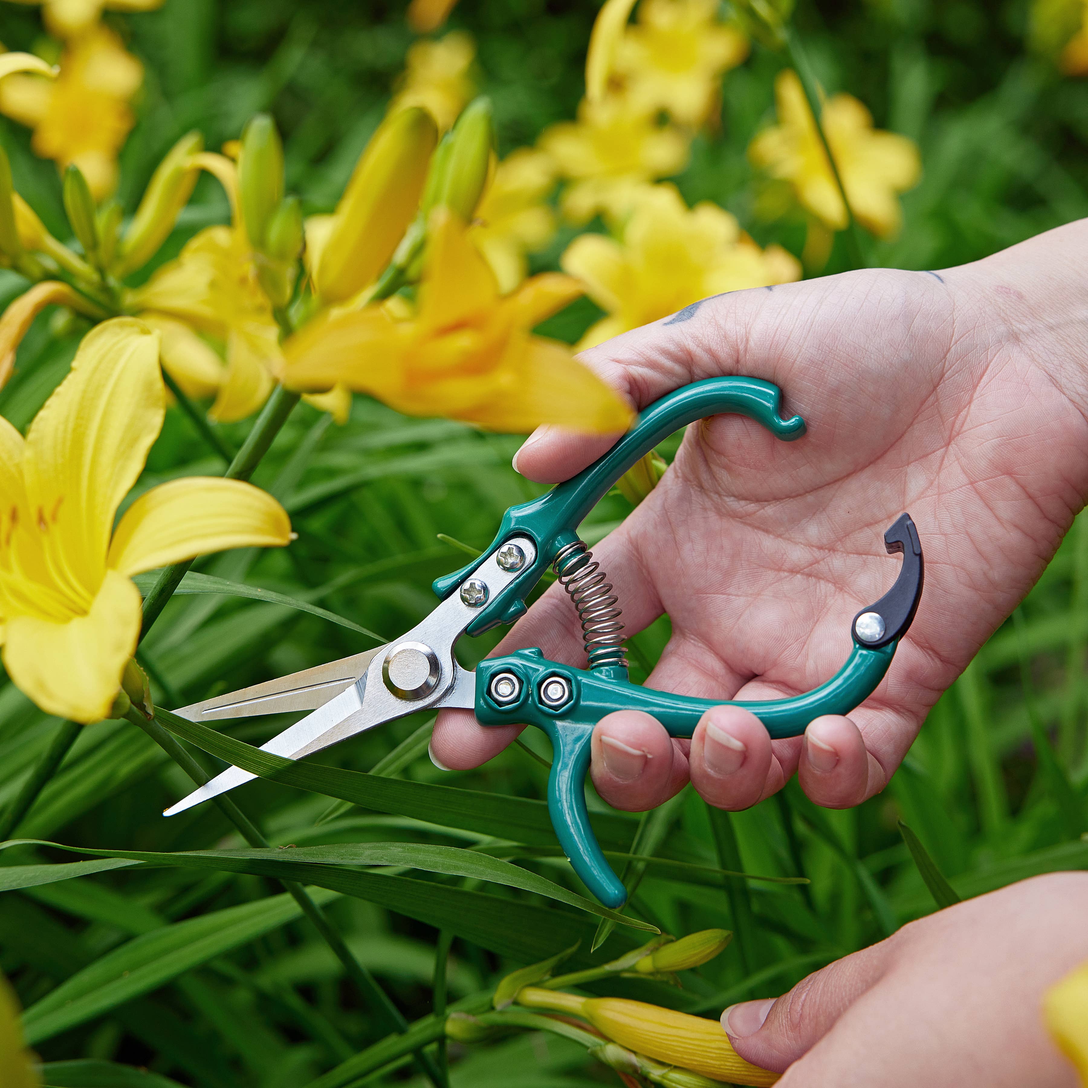 Garden shears ergonomic handle in bold color