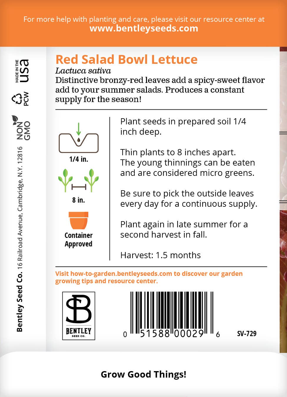 Red Salad Bowl lettuce seeds packet back with planting info