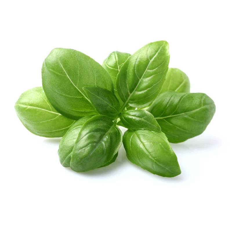 Basil-Genovese (Sweet)