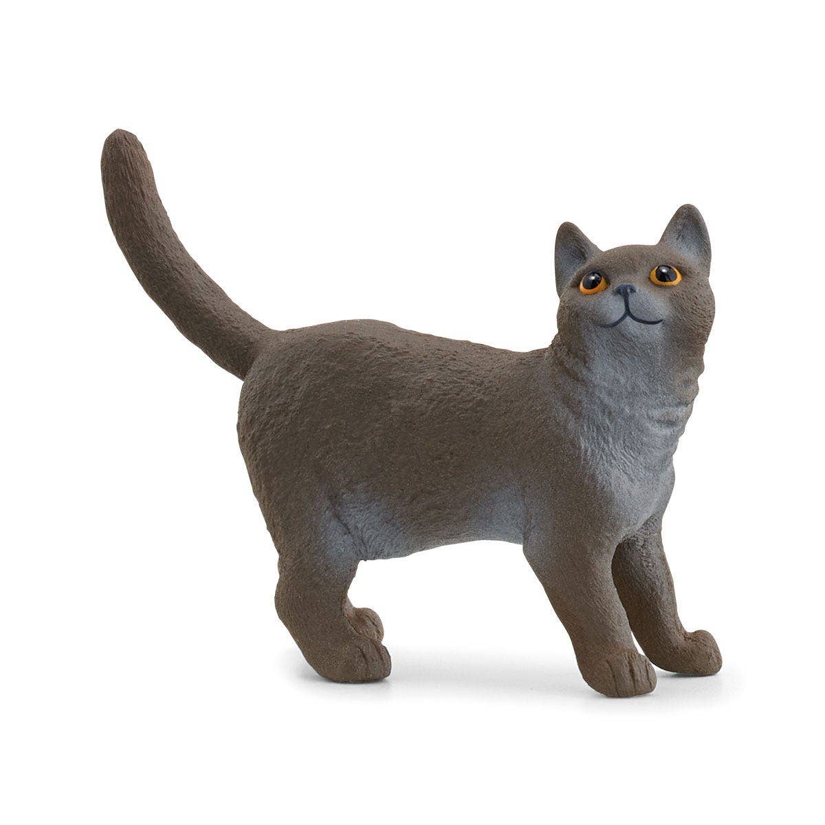 British Shorthair Cat Toy
