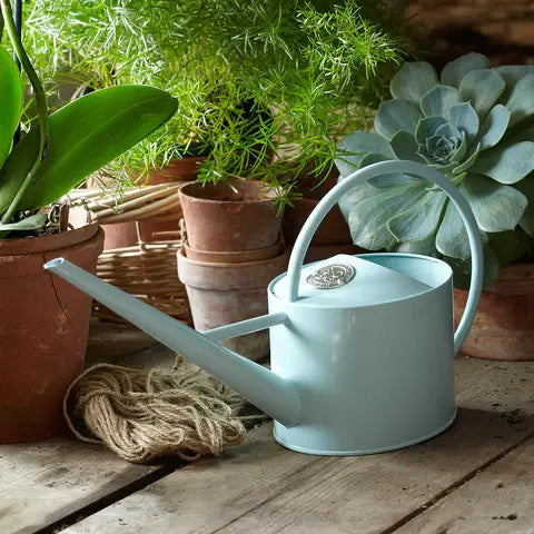 SC Blue Indoor Watering Can for houseplants