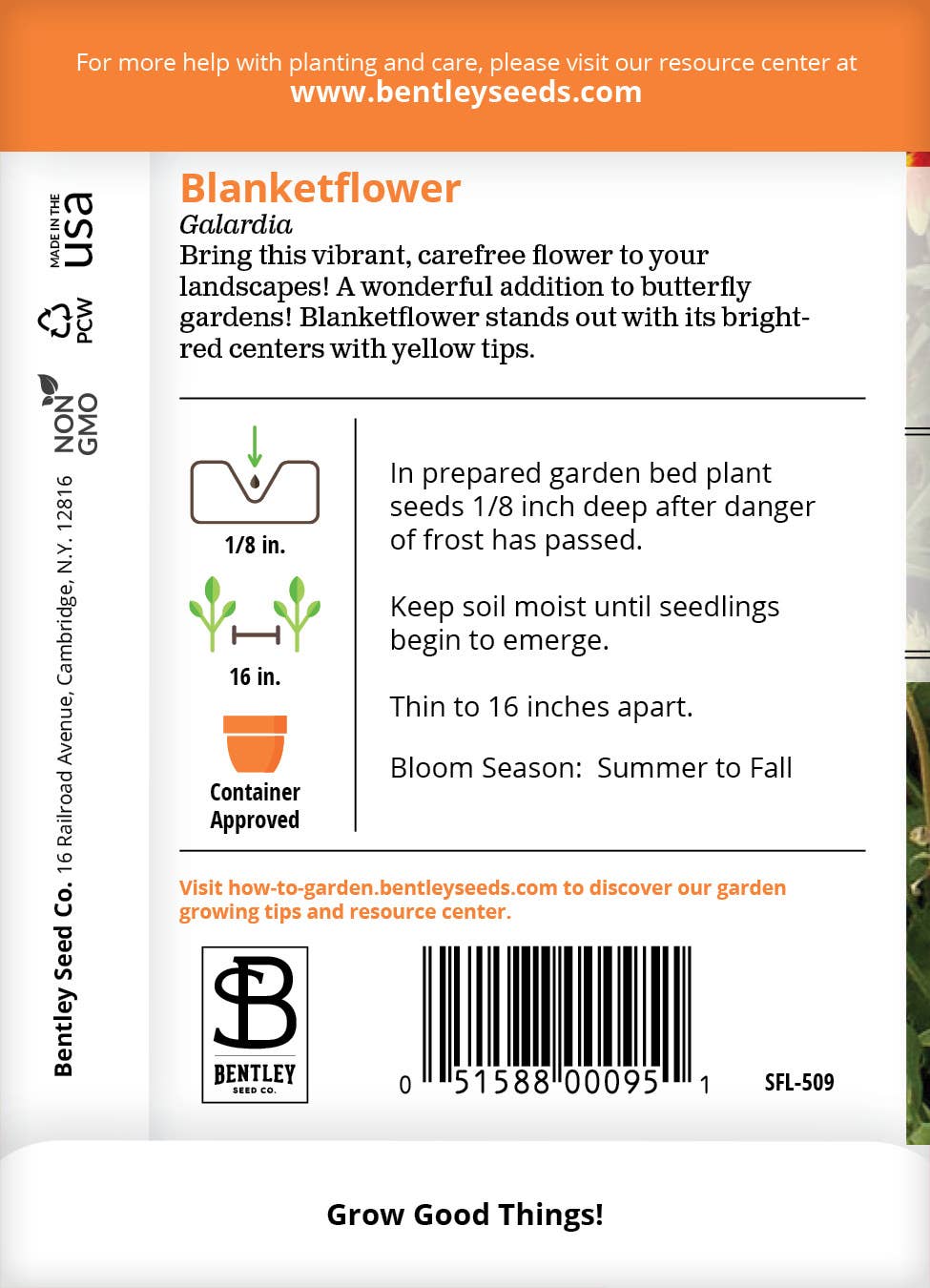 Blanketflower-Galardia Pulchella