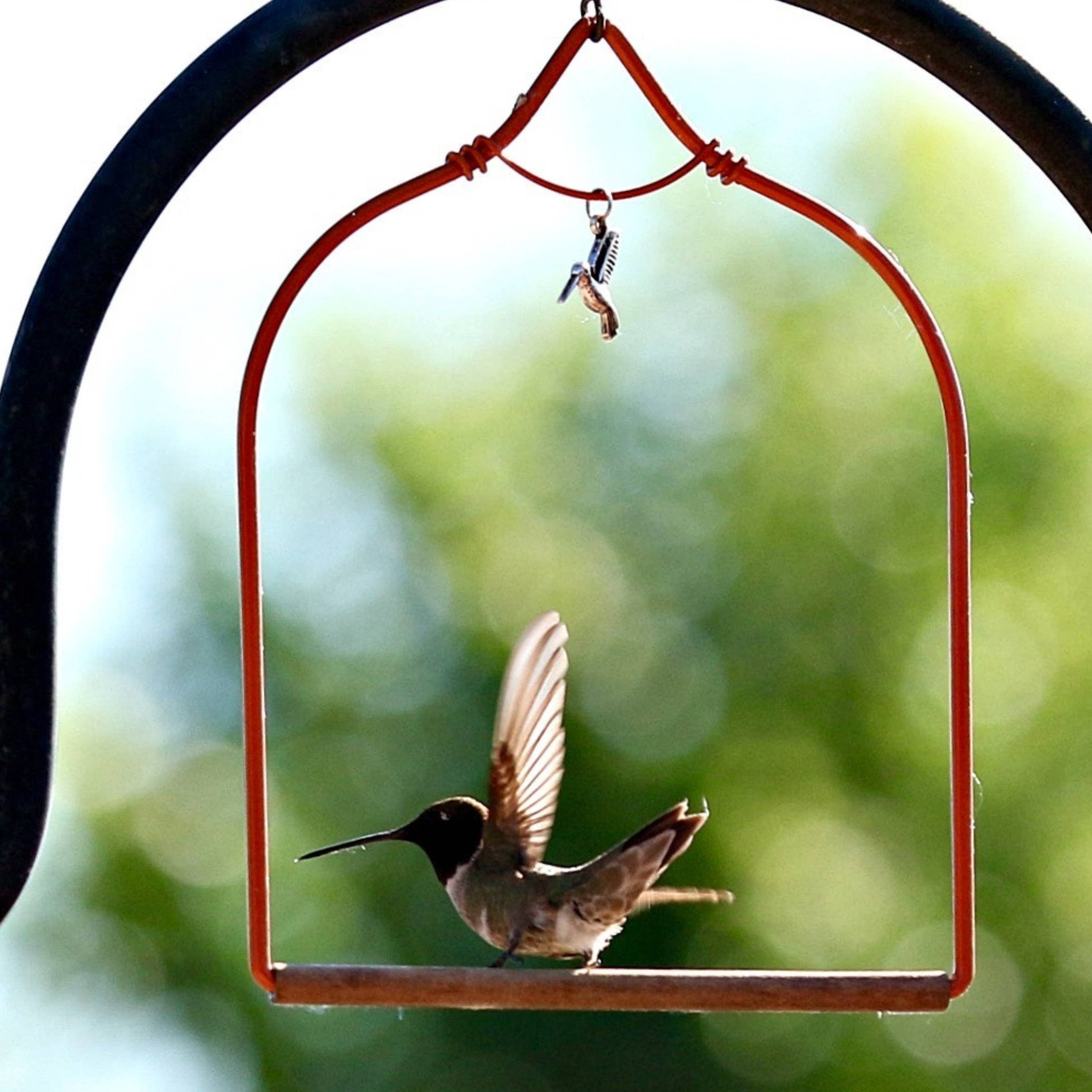 POP'S Charmed Hummingbird Swing (Red)