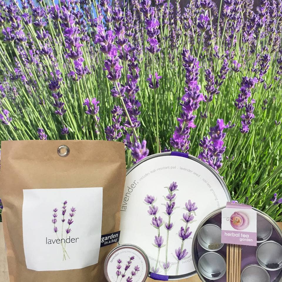 Garden Sprinkles Lavender seeds sprinkled on soil