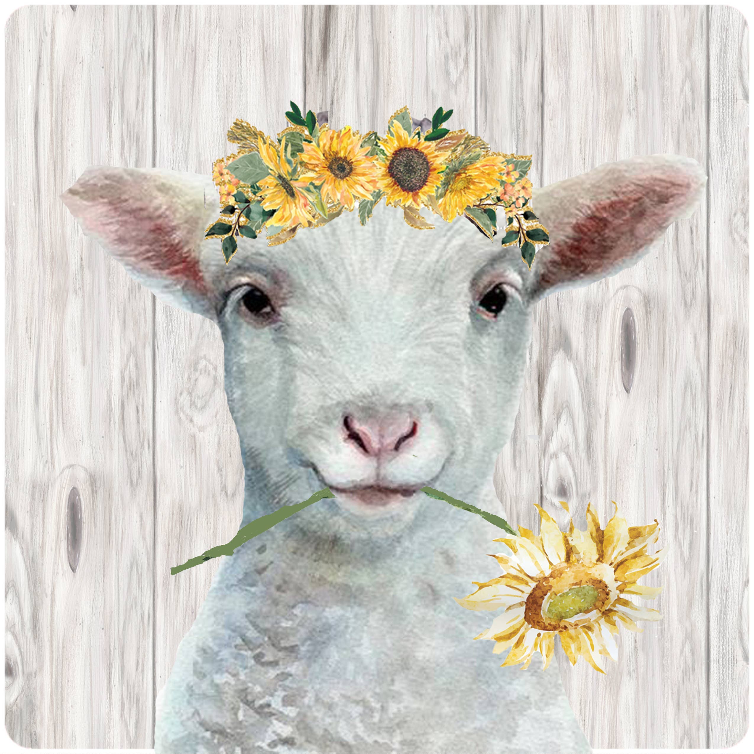 Flower Sheep