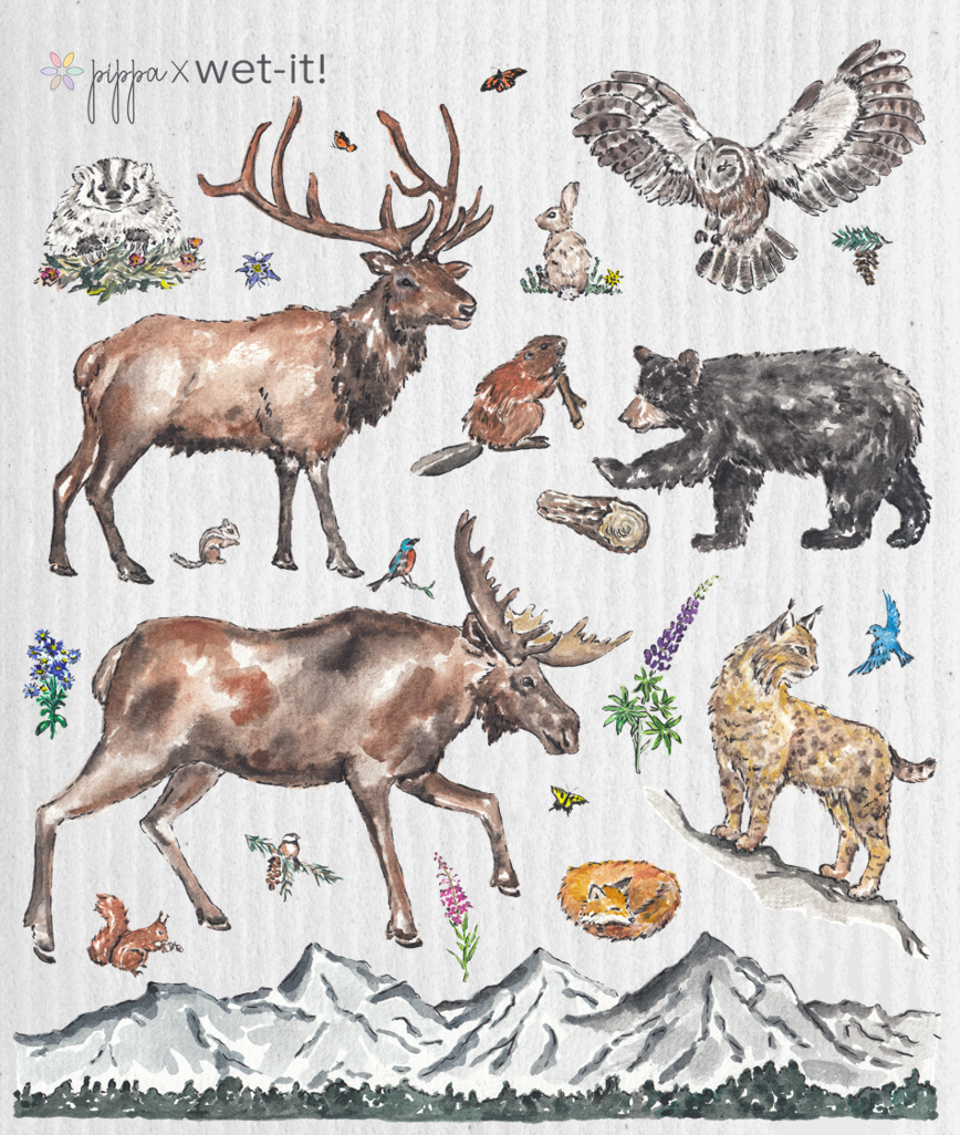 The Mountaineers Swedish Cloth