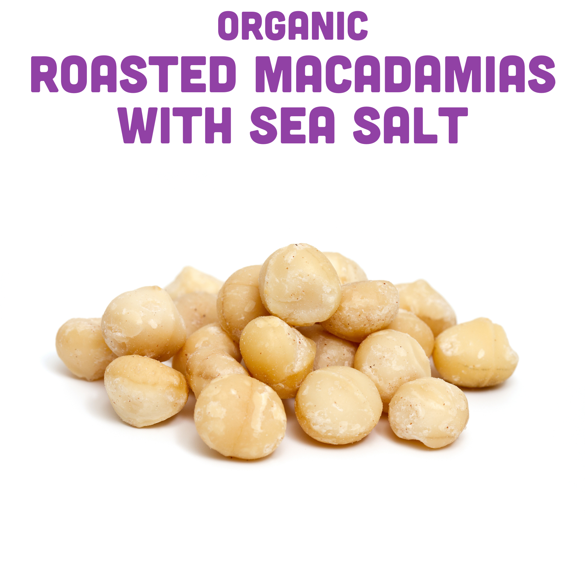 Organic sea salt macadamia nuts roasted and ready to eat