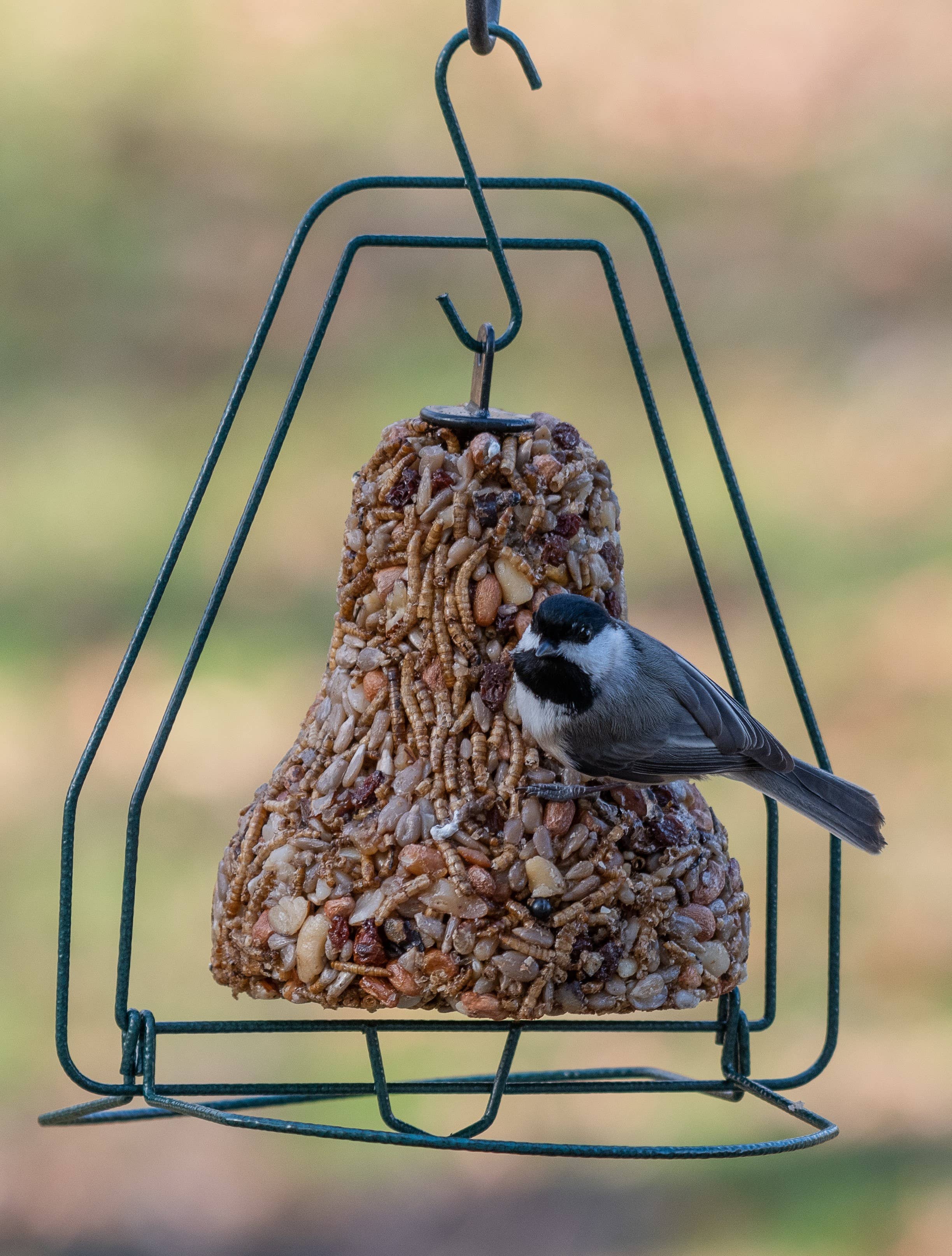 Bugs Nuts and Fruit bell on feeder