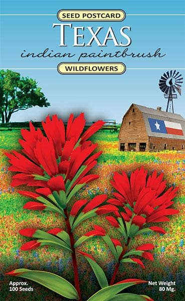 Texas Indian Paintbrush wildflower seed packet