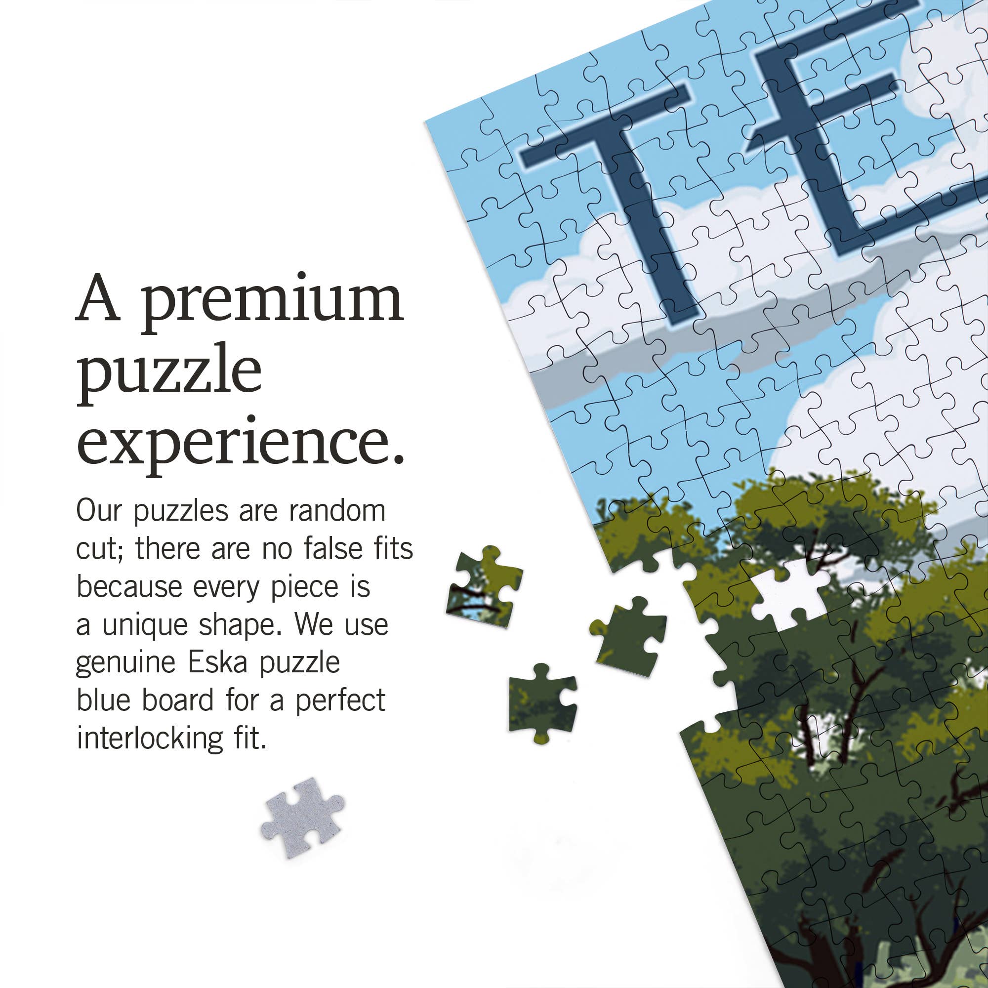 1000 PIECE PUZZLE Texas, Bluebonnets & Highway