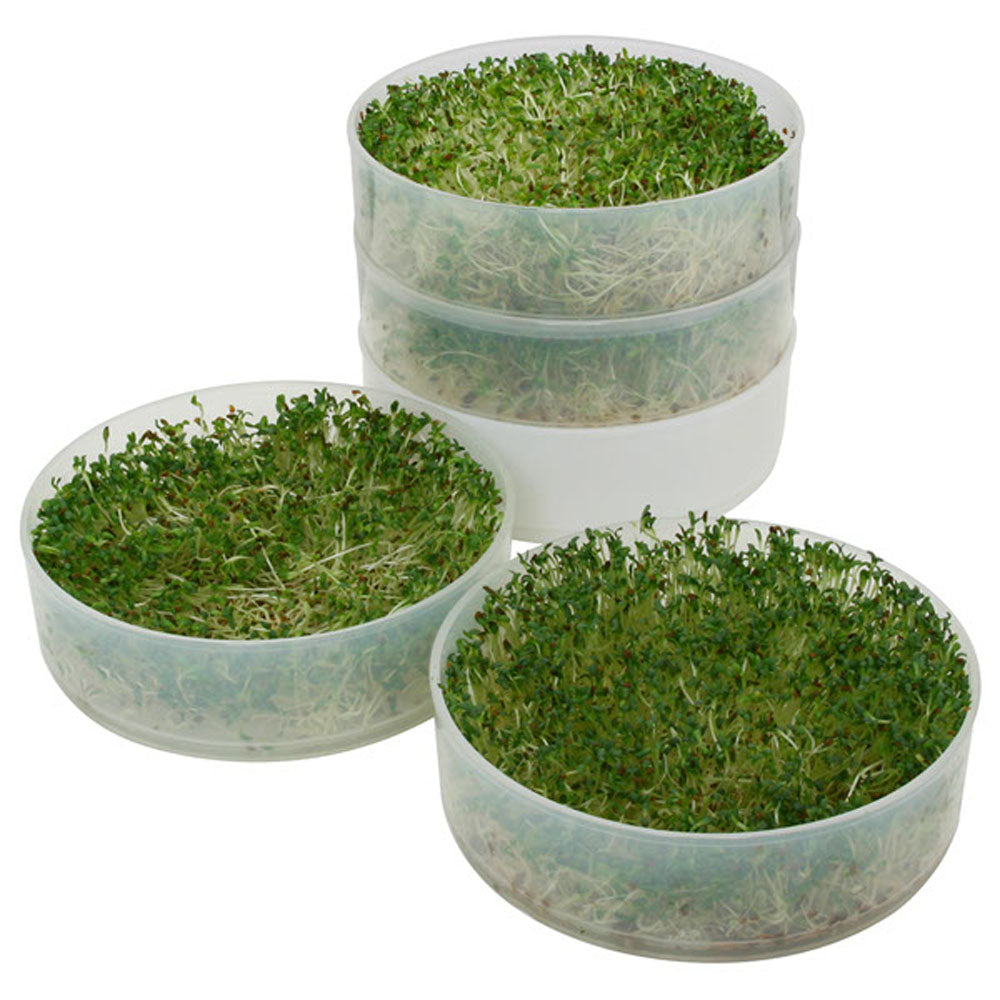 Kitchen Crop Seed Sprouter showing fresh sprouts growing