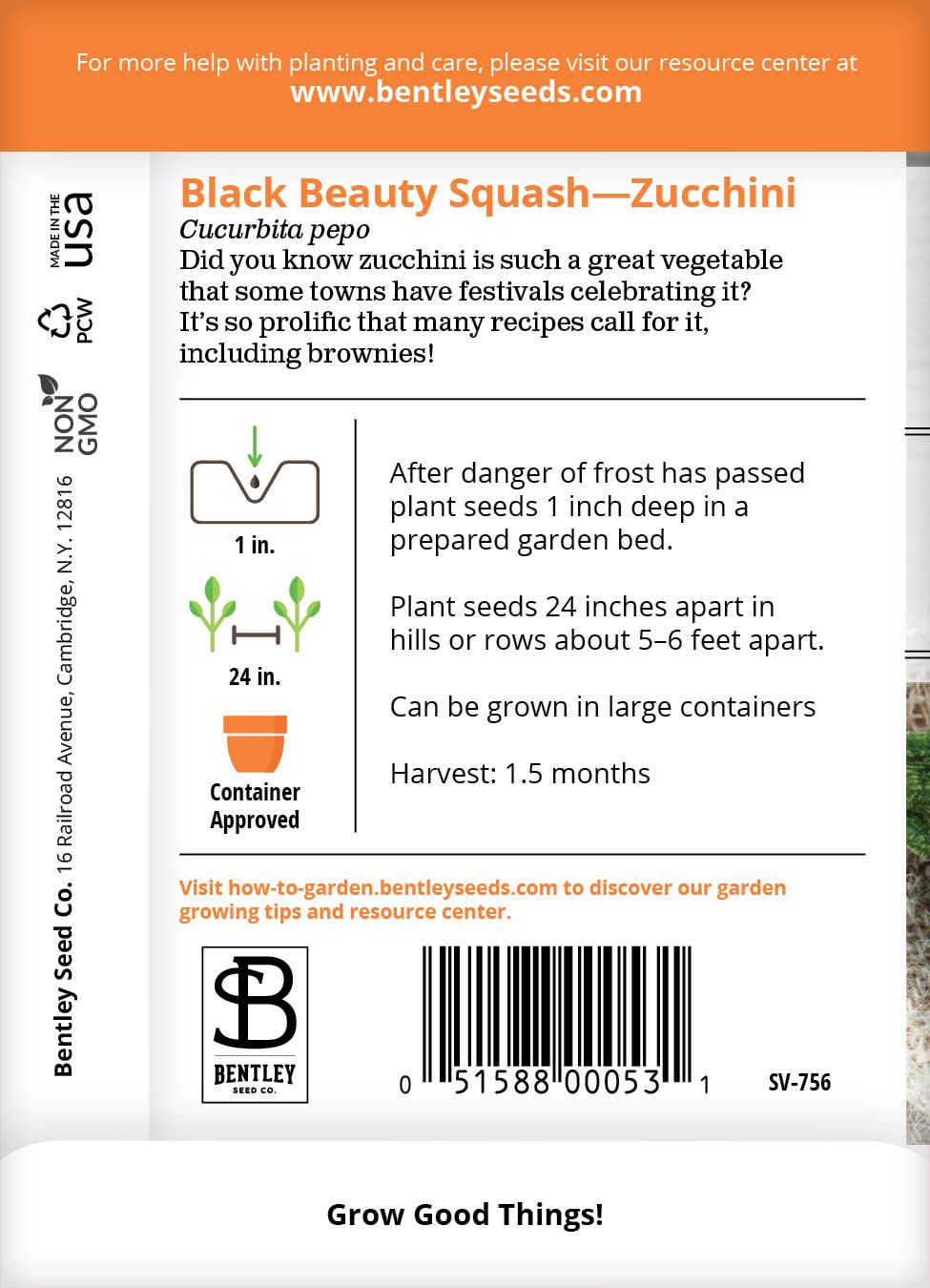 Bentley Seed Co. - Squash Zucchini Black Beauty
