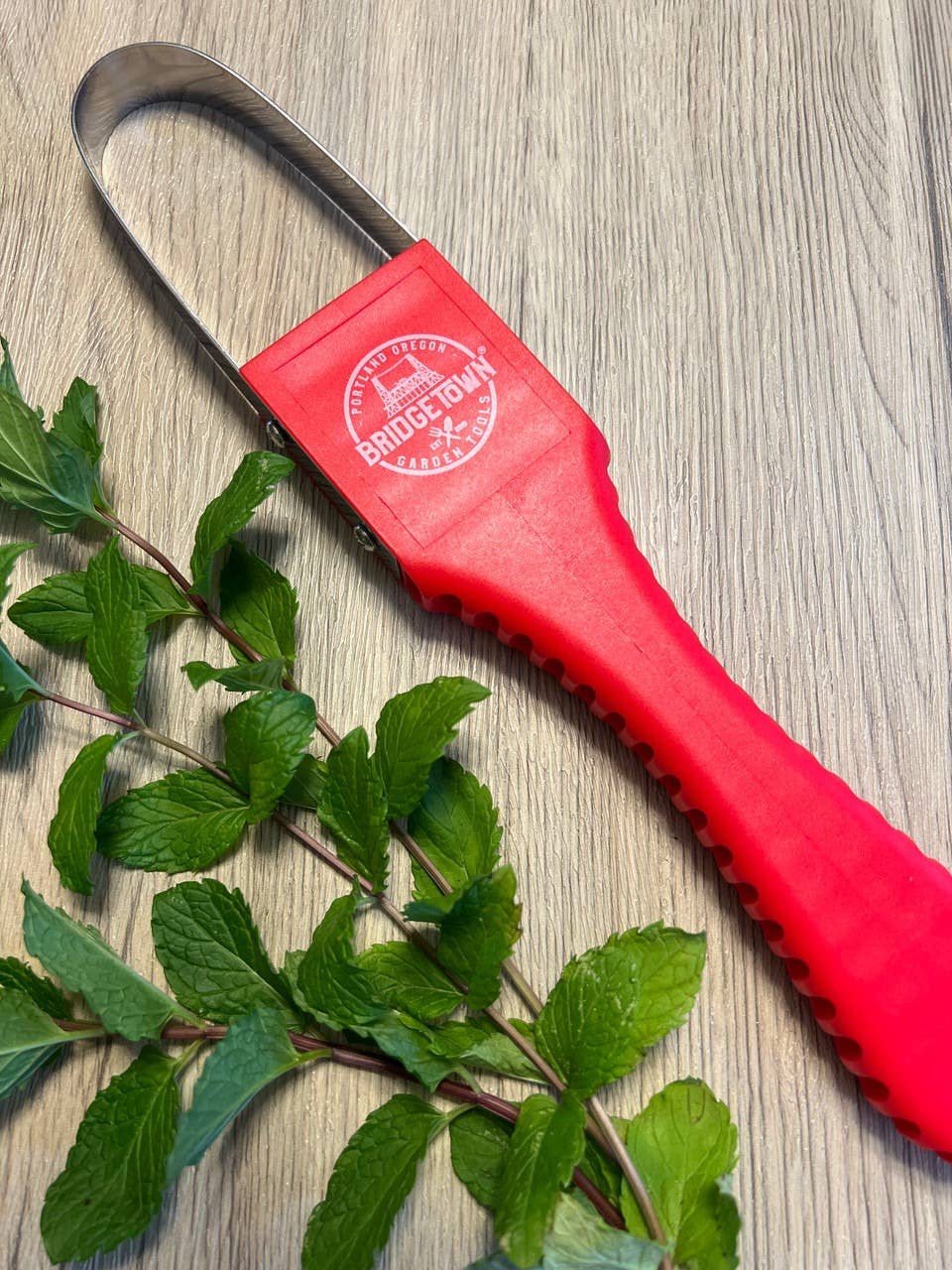 Garden Ninja Loop Weeder close-up of loop blade