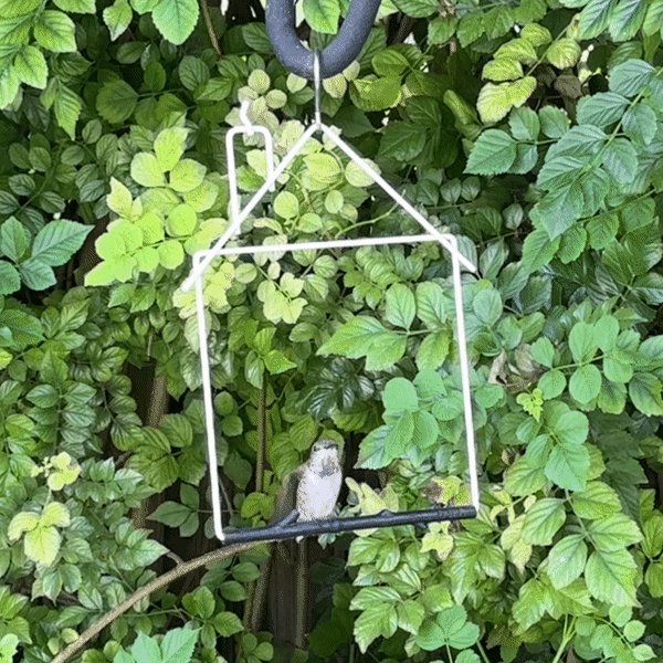 Hummingbird Swing, Craft White House