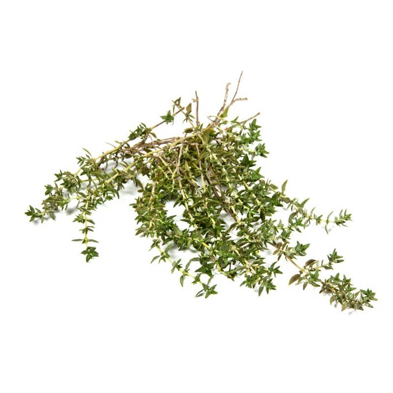 Thyme perennial seed packet back with planting details