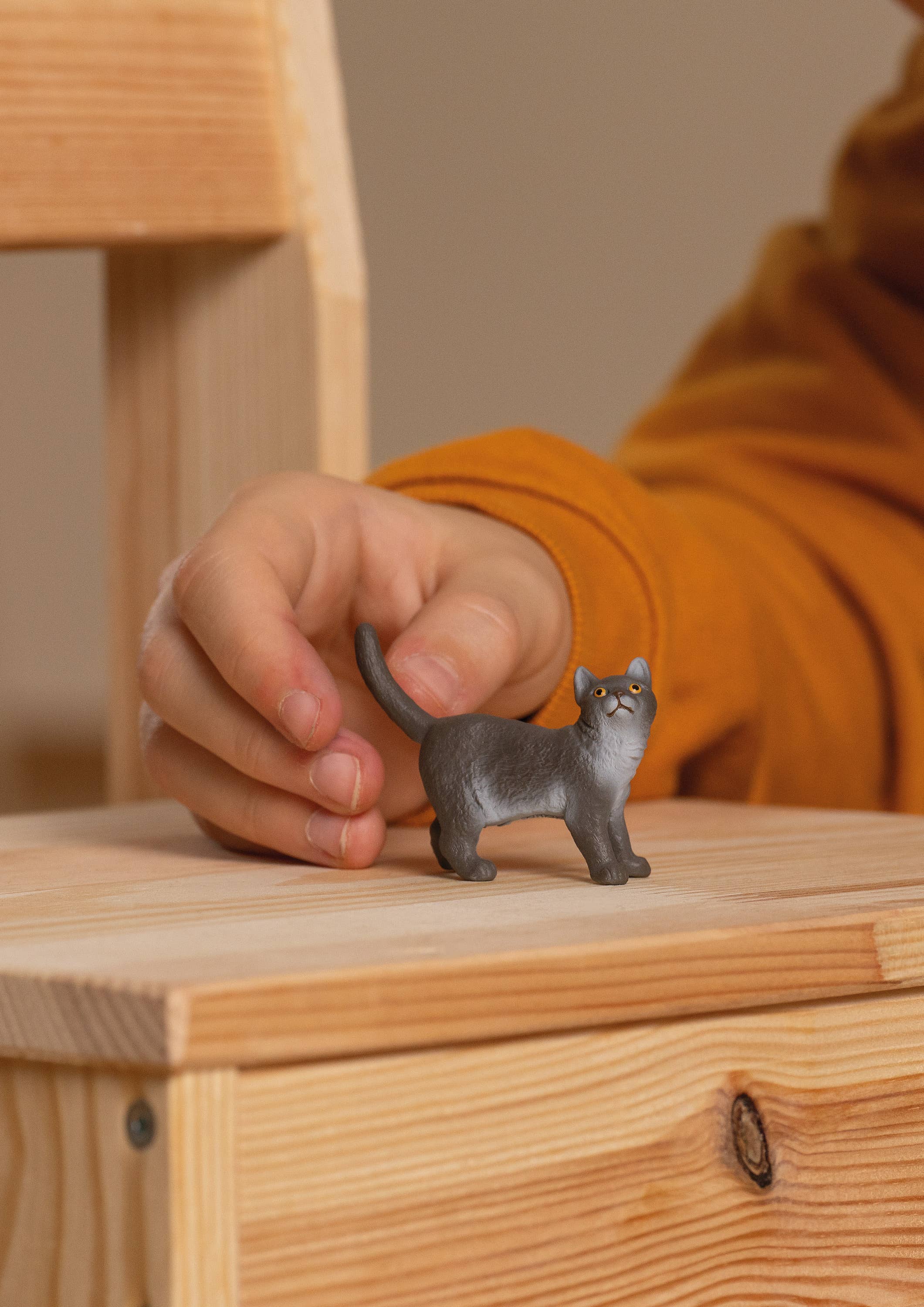 British Shorthair Cat Toy