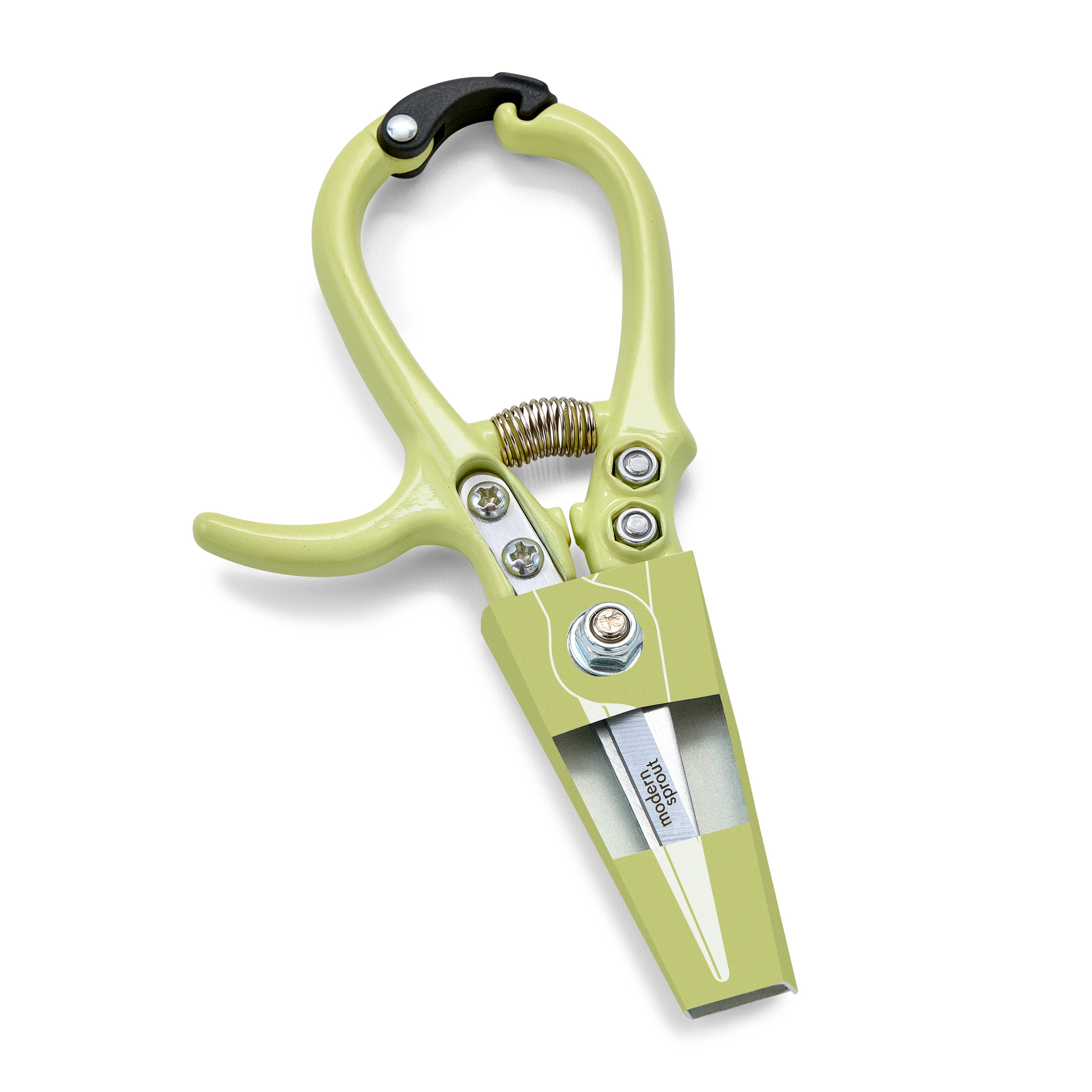 Garden shears blade and handle color option