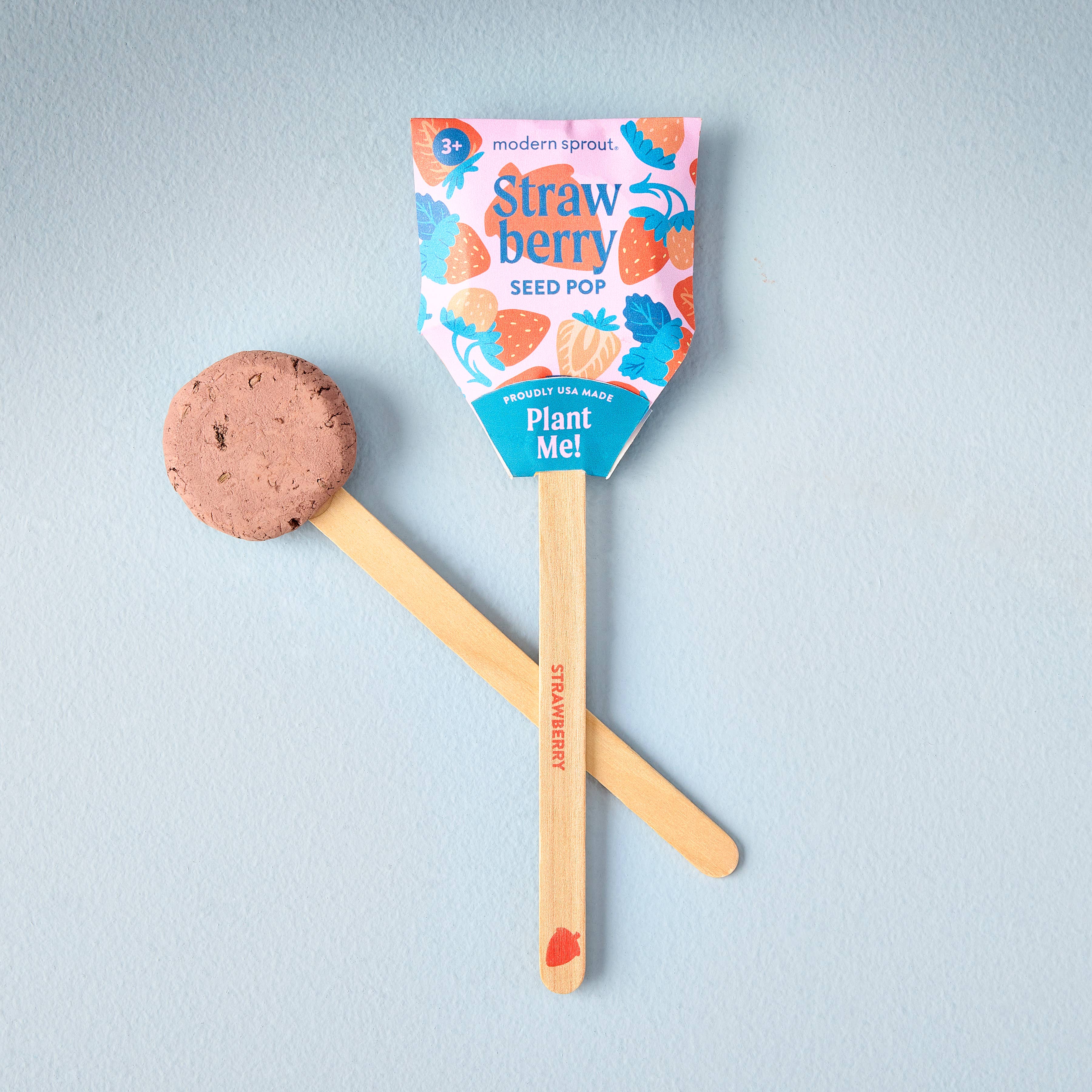 Veggie Garden Seed Pops packaging front view