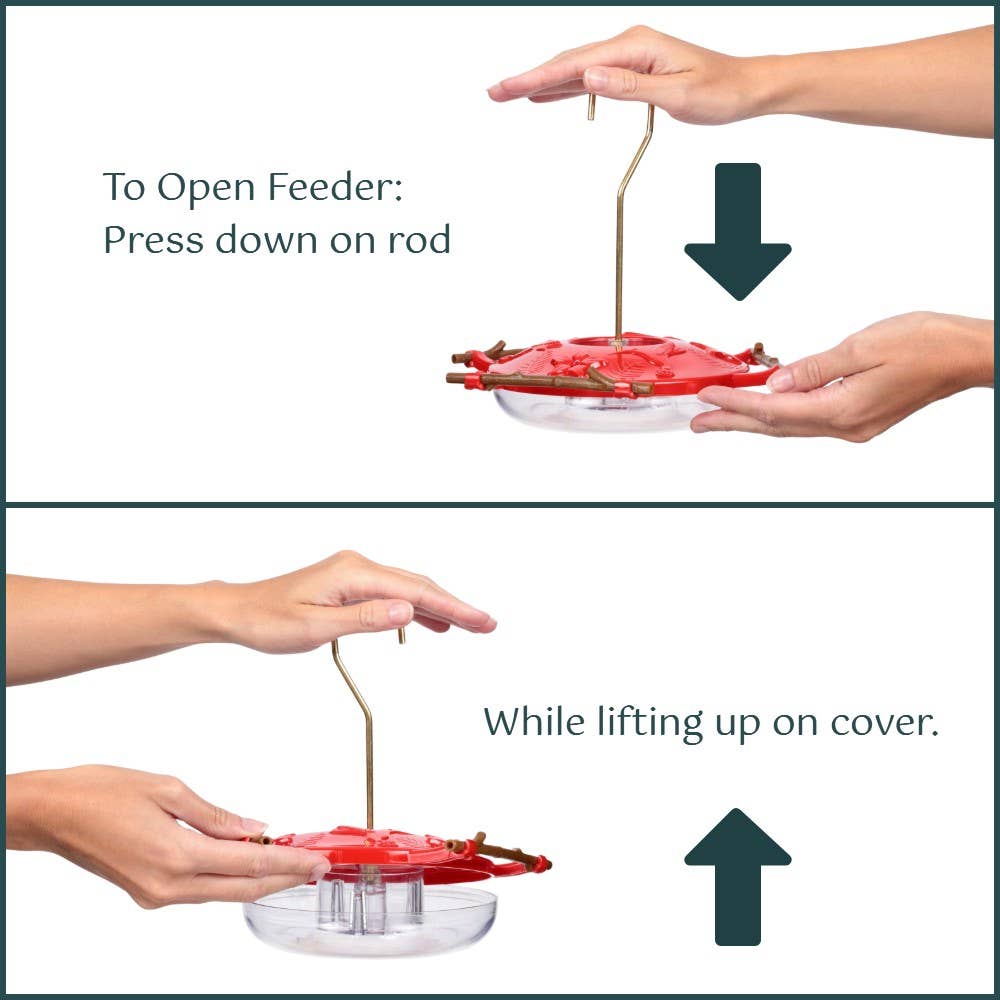 Pop's AspenPerch™ Hummingbird Feeder 8oz