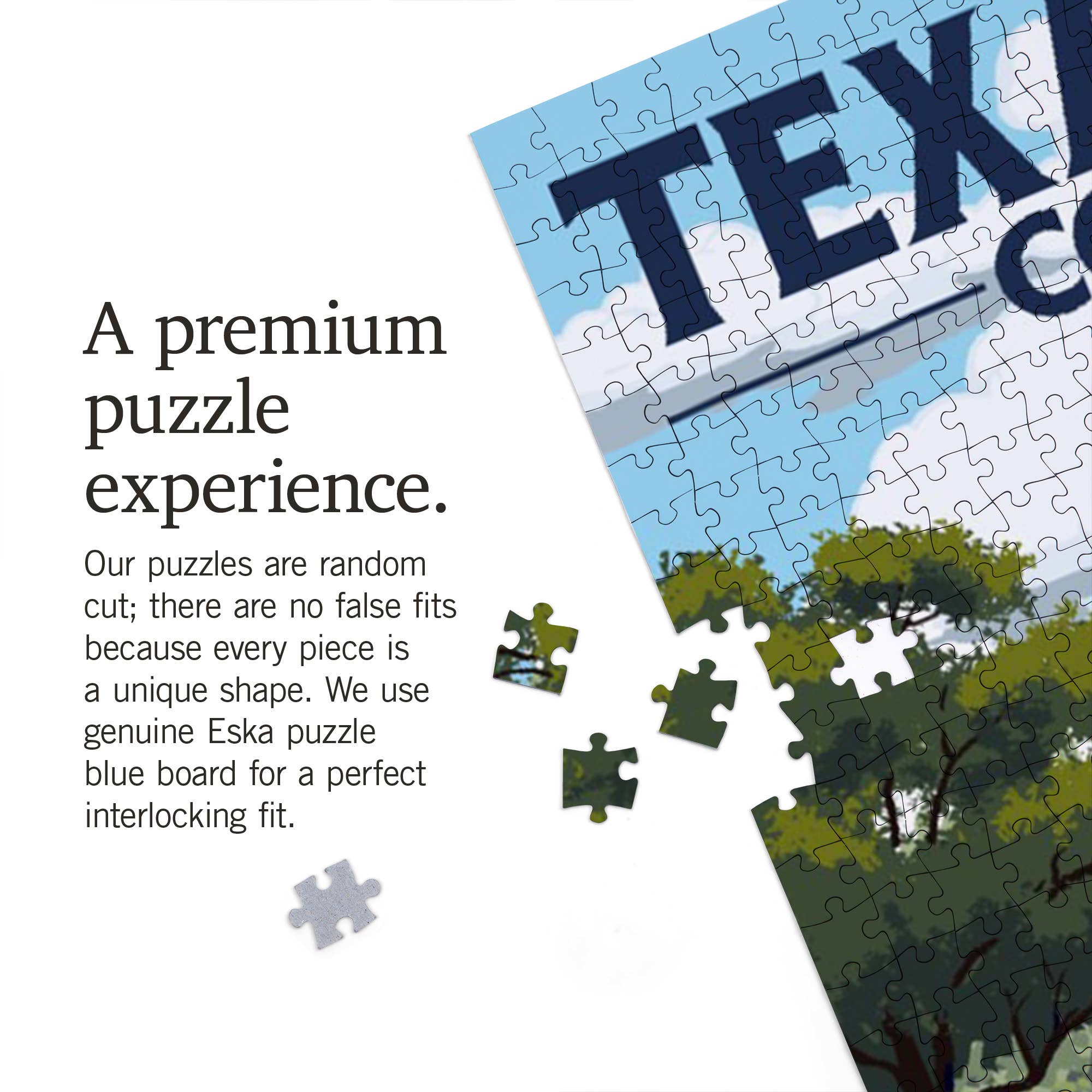 1000 PIECE PUZZLE Texas Hill Country, Texas, Bluebonnets