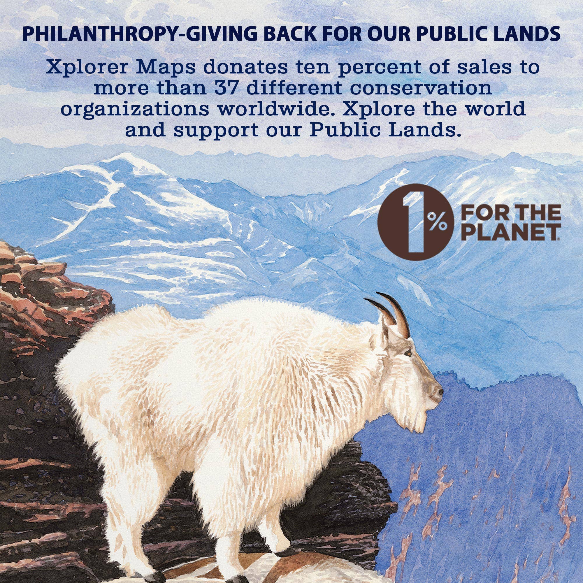 Texas State Map Stickers