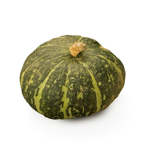 Harvested dark green Buttercup Burgess Squash