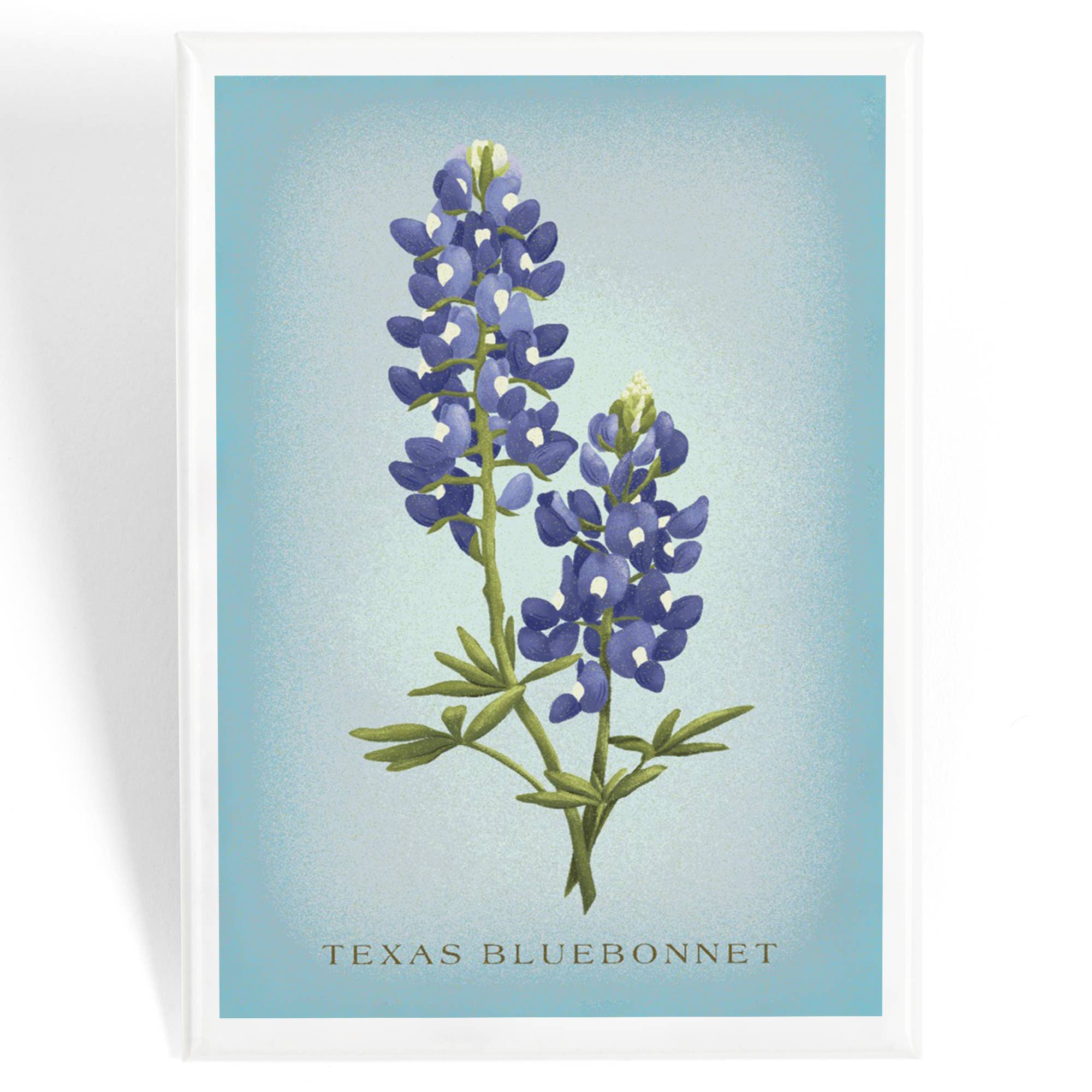MAGNET Texas Bluebonnet, Vintage Flora
