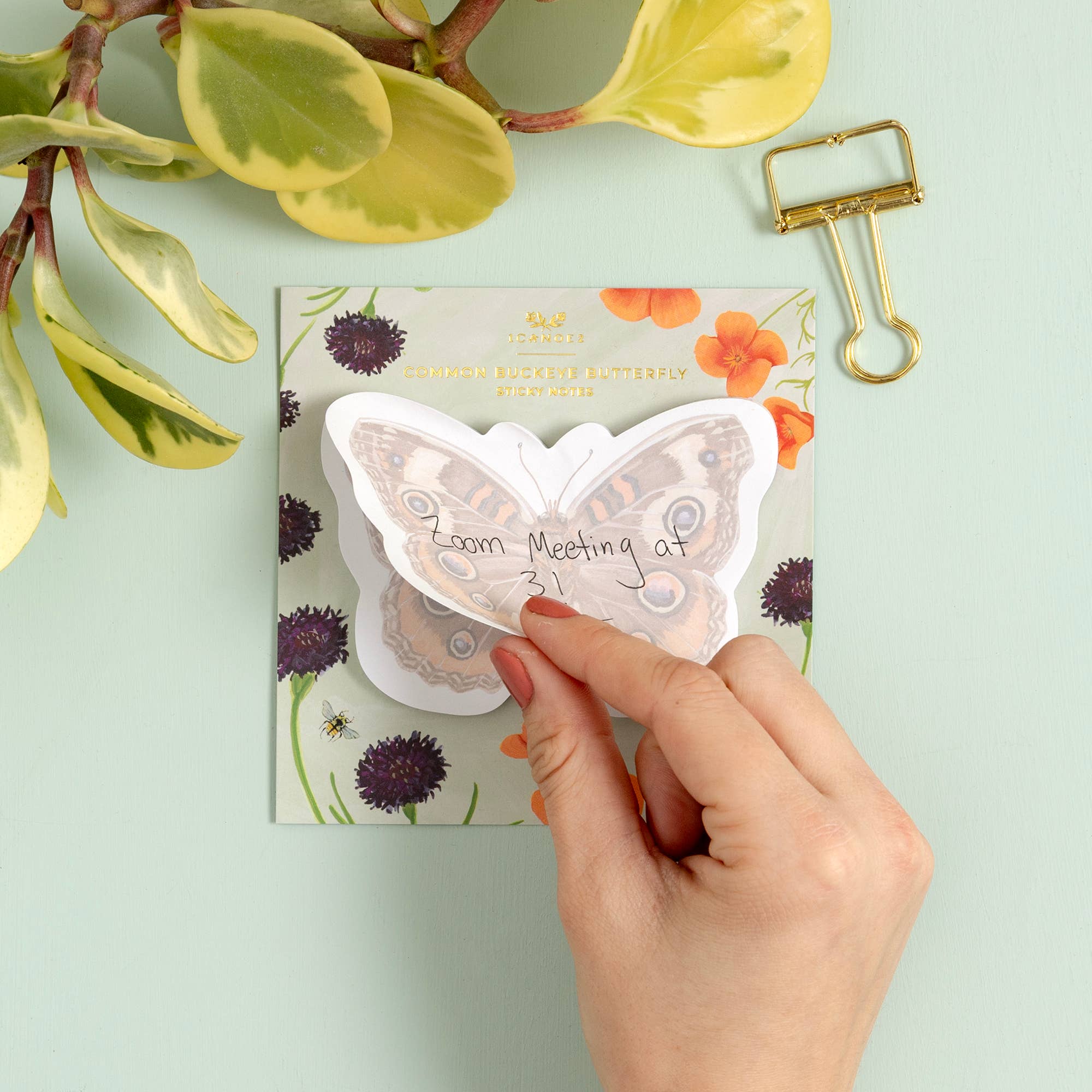 Common Buckeye Butterfly Sticky Notes