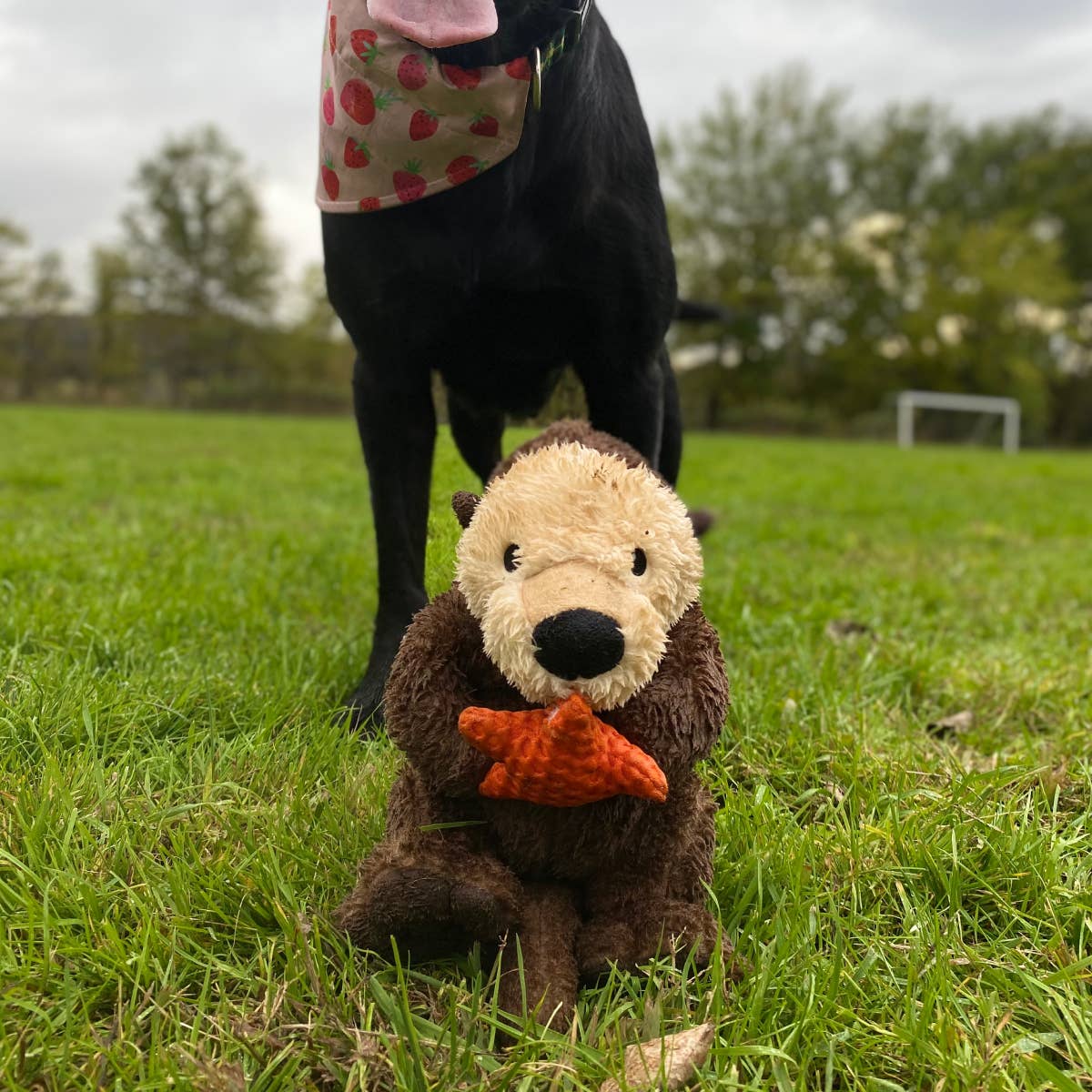 Otter Rope Body Dog Toy for interactive play