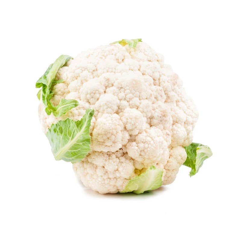 Fresh Snowball Y Improved Cauliflower ready for harvest