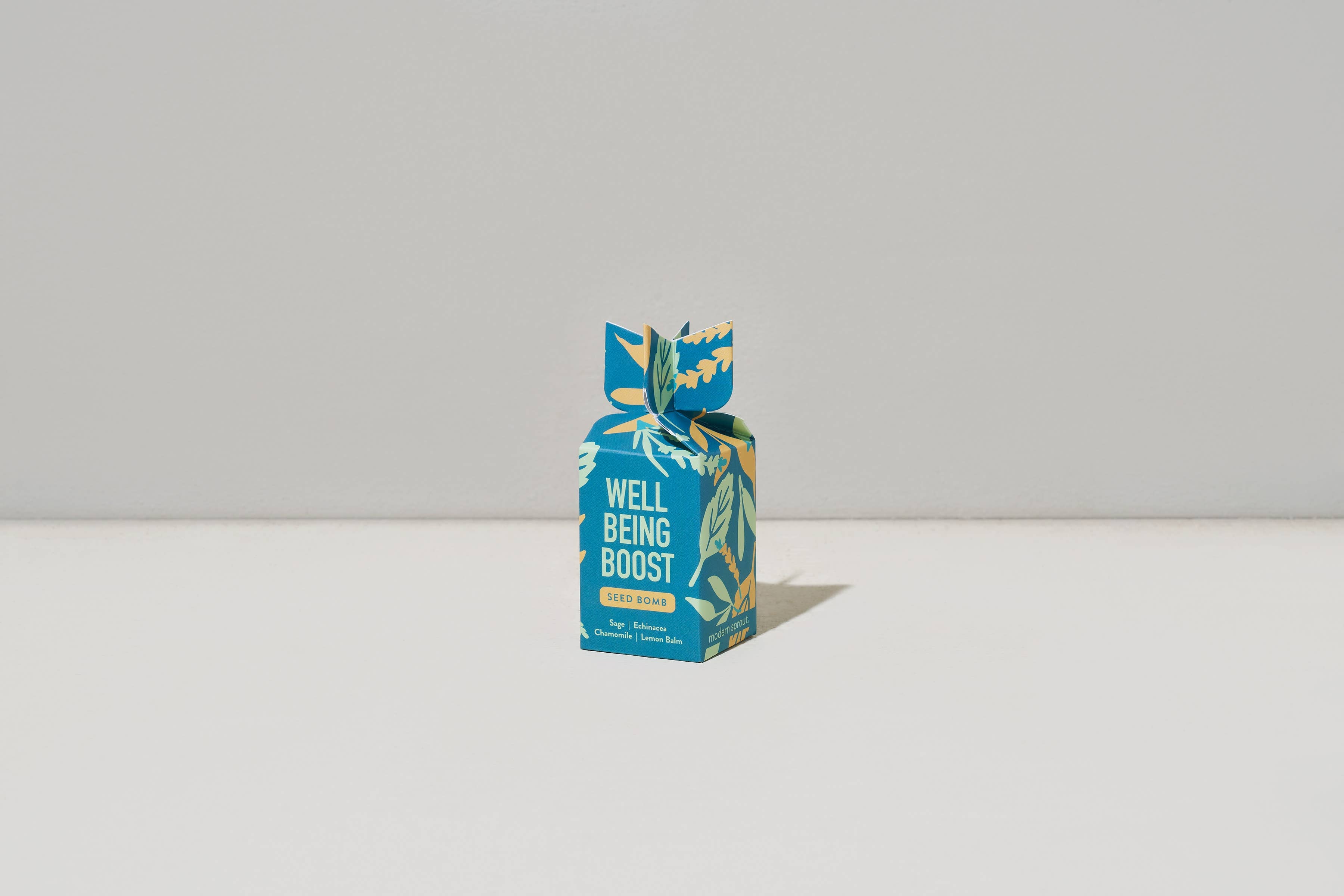 Seed Bomb Well Being wildflower seed ball