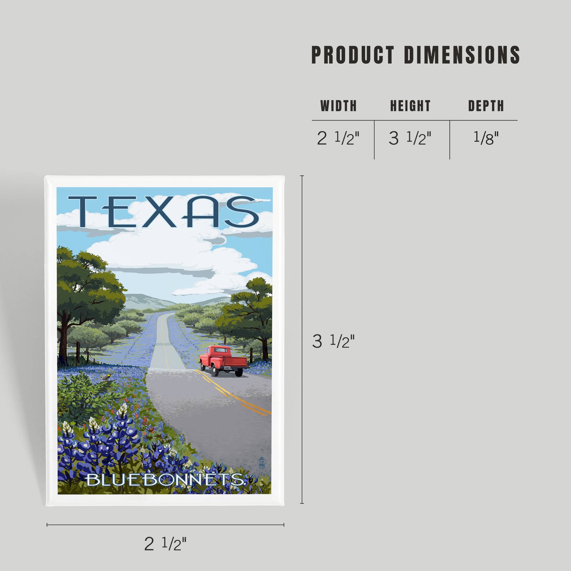 MAGNET Texas, Bluebonnets & Highway