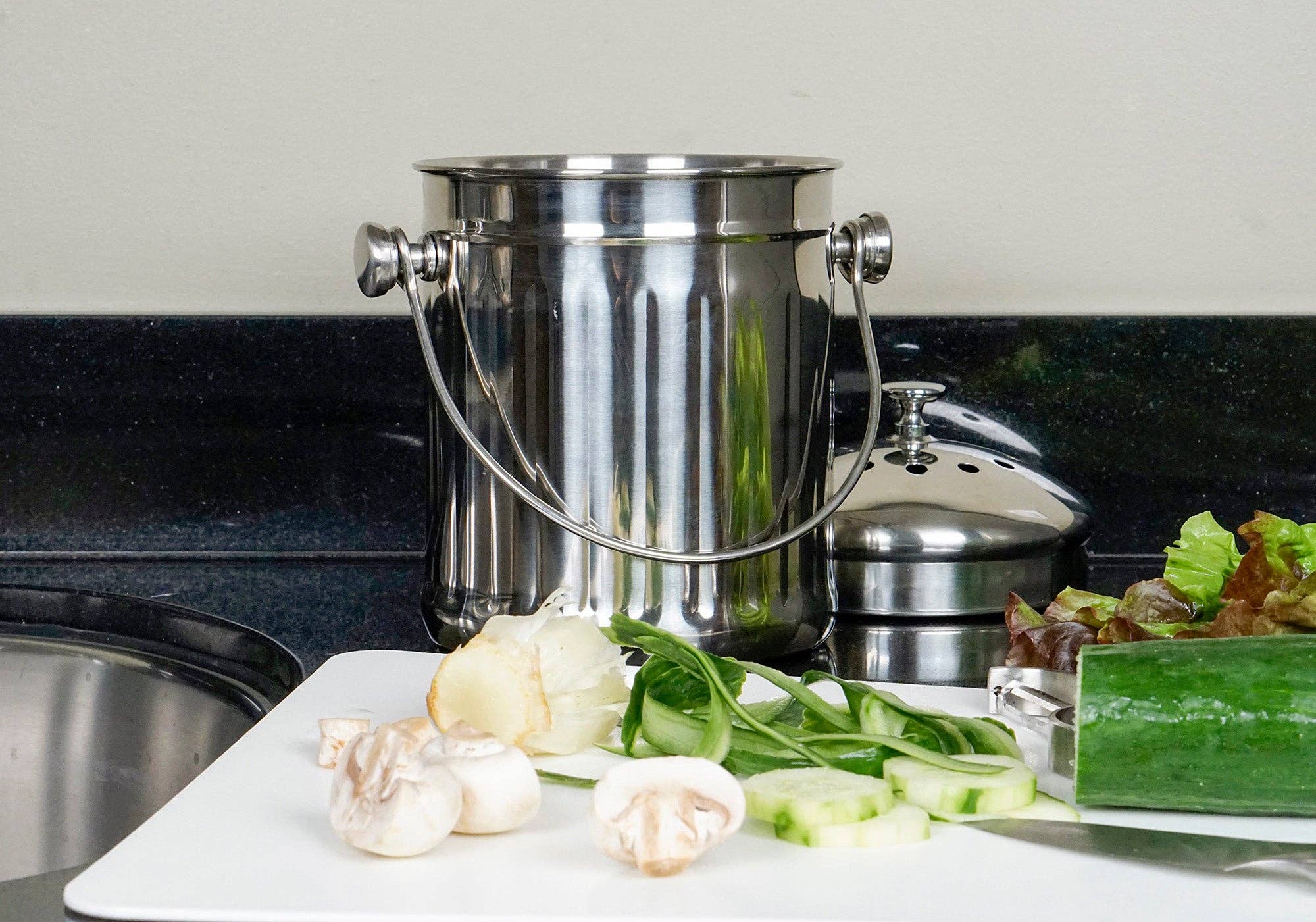 Small compost pail half gallon kitchen countertop container