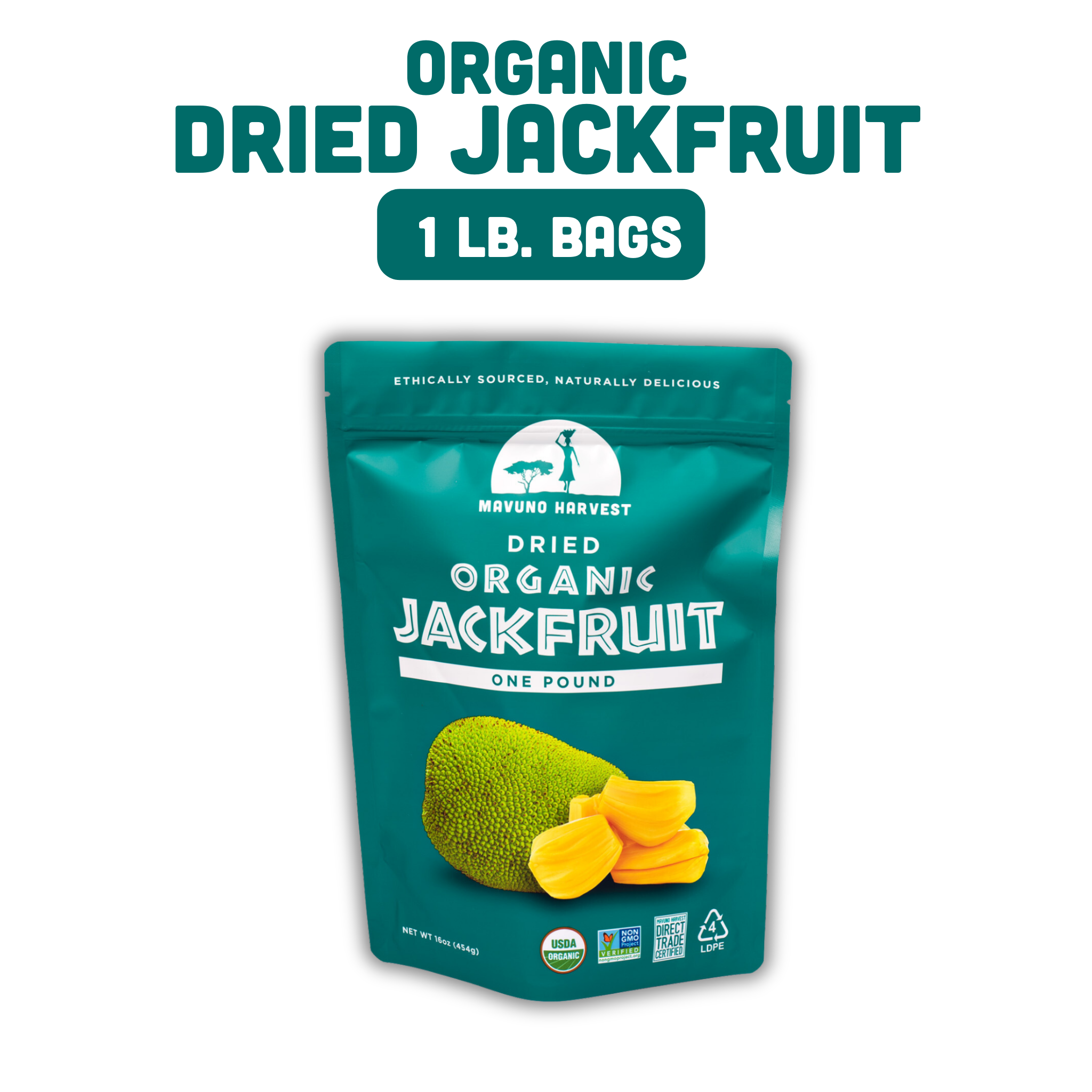 Organic dried jackfruit snack pieces