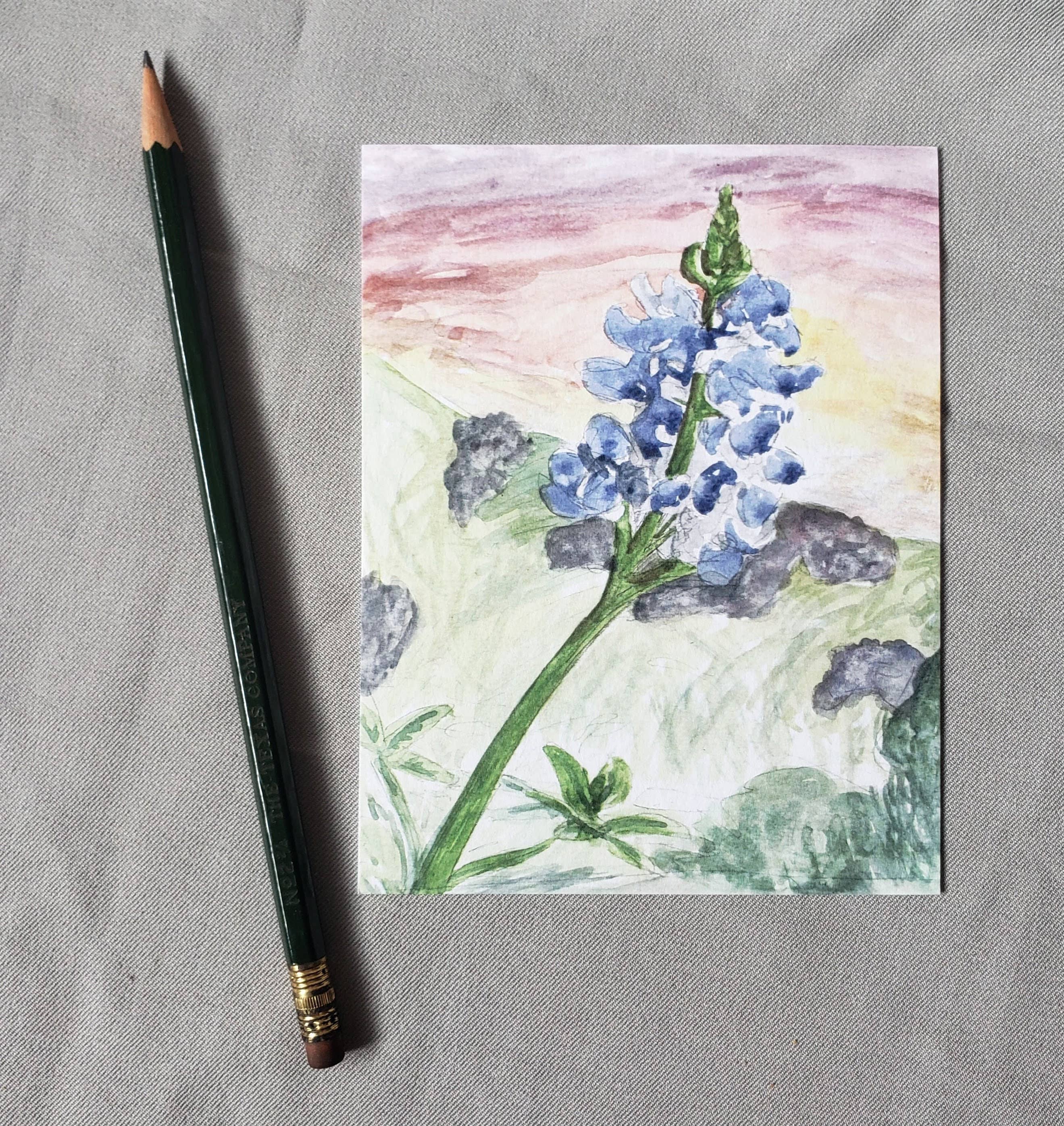 Texas Bluebonnet - State Flower Postcards