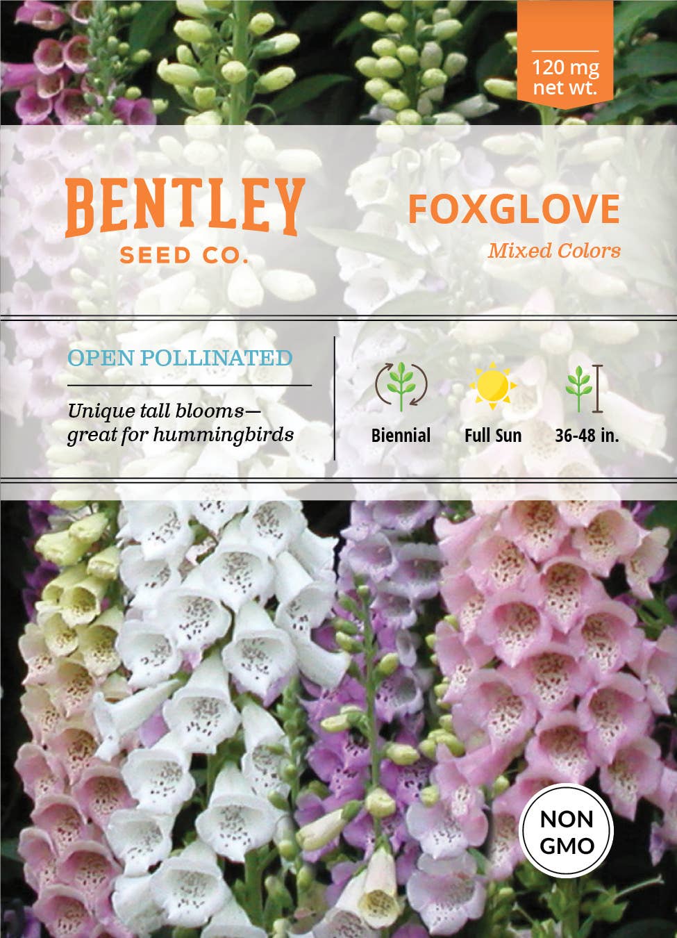 Foxglove flower seed packet with colorful blooms