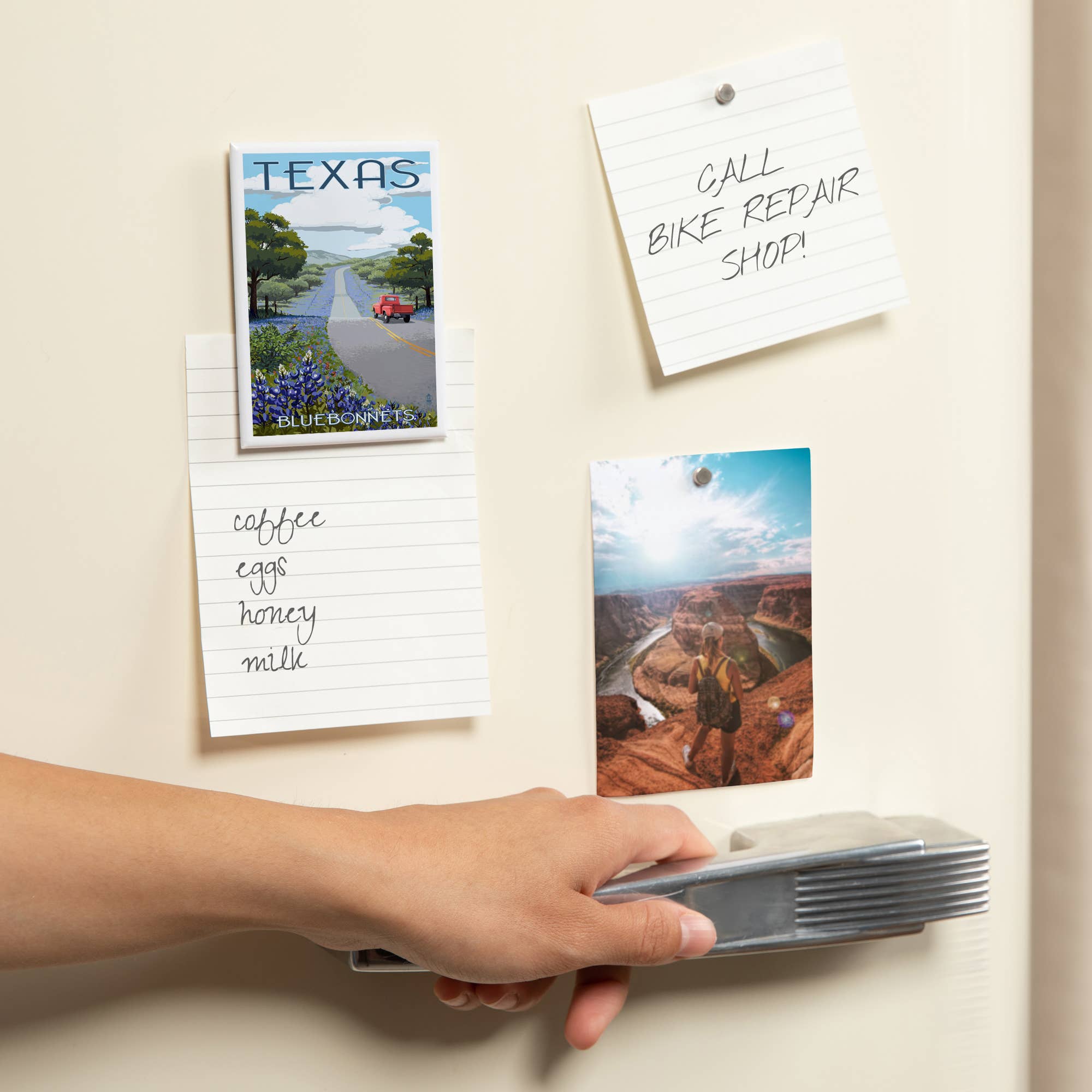 MAGNET Texas, Bluebonnets & Highway