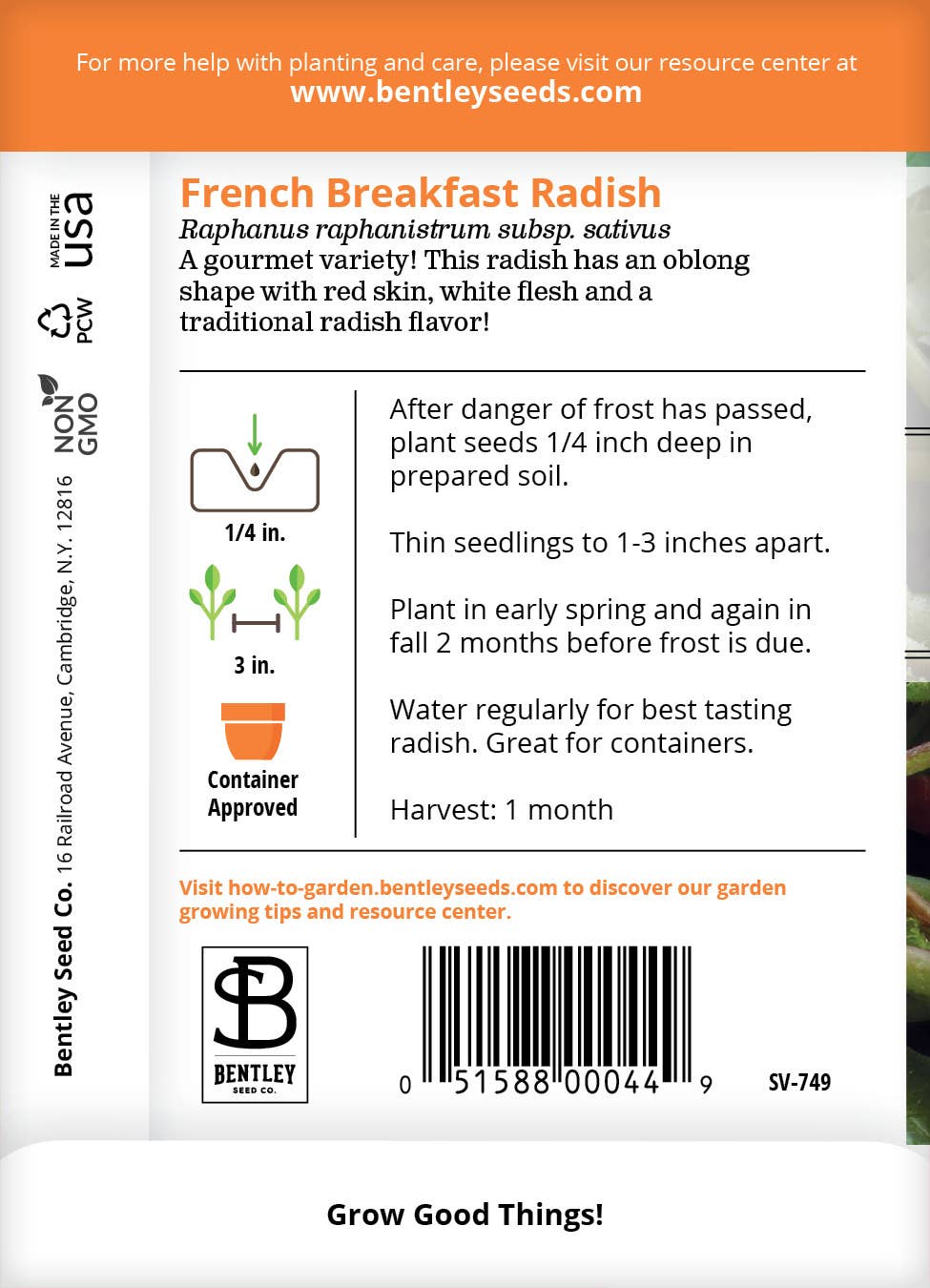 French Breakfast Radishes with red and white coloring