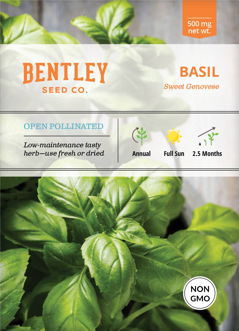 Basil-Genovese (Sweet)