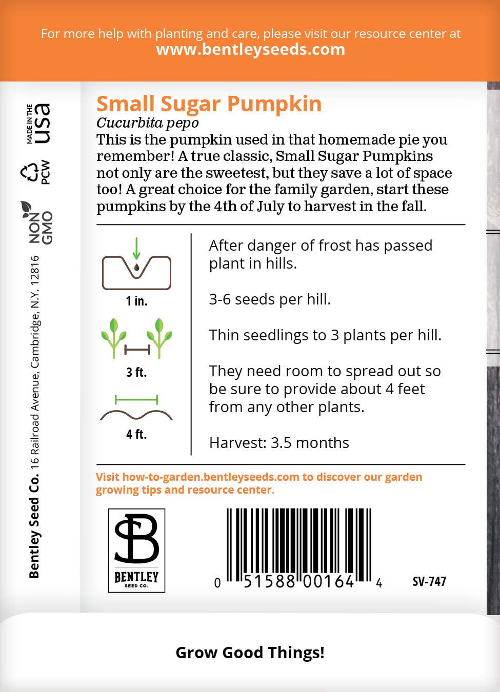 Pumpkin-Small Sugar