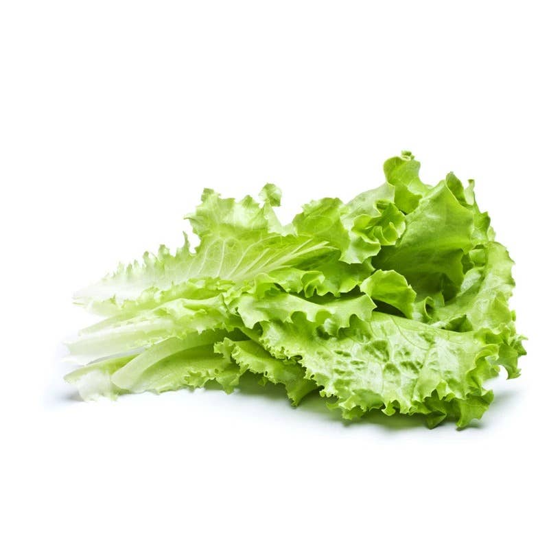 Lettuce Parris Island Romaine seed packet back with info