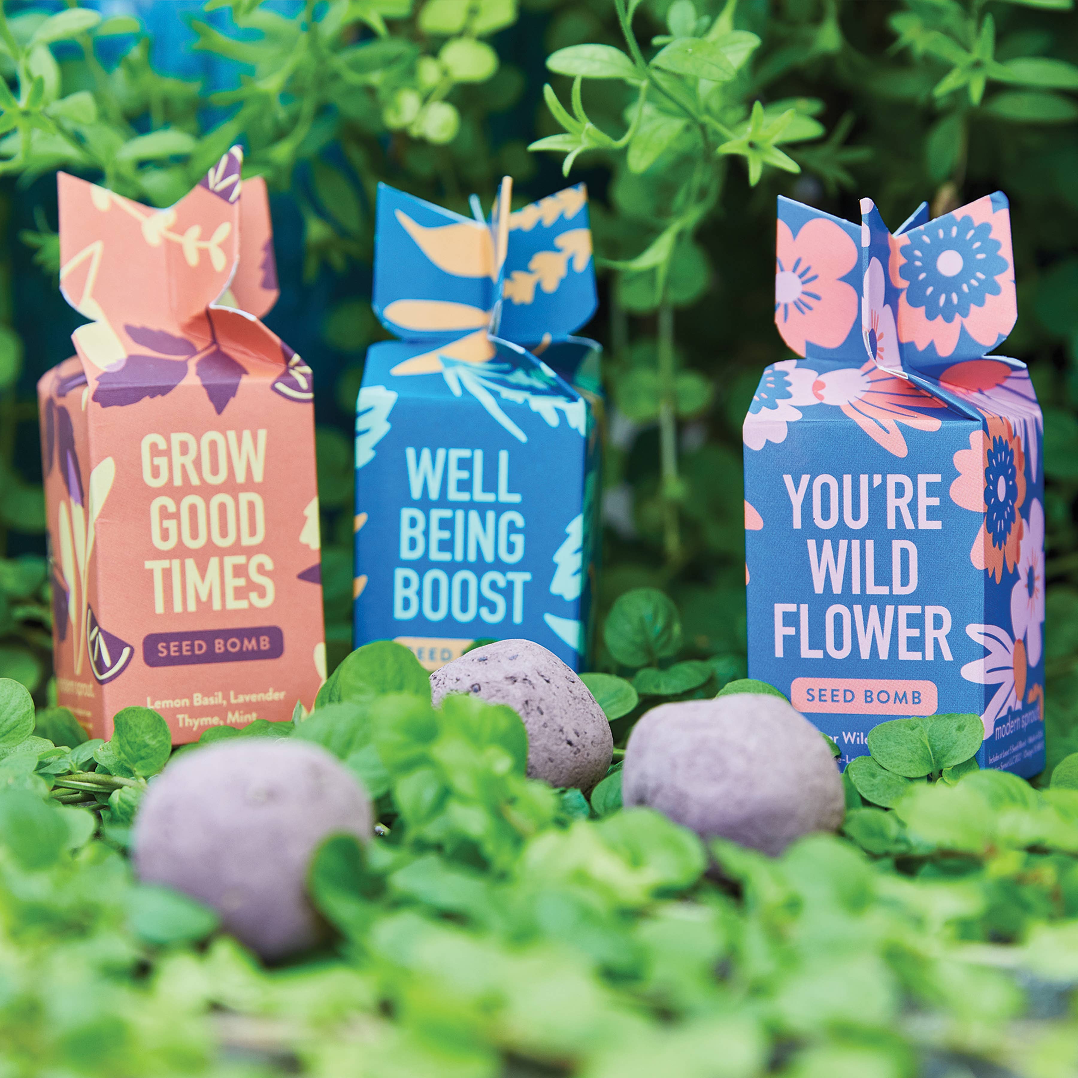 Seed Bomb wildflower seed ball for planting