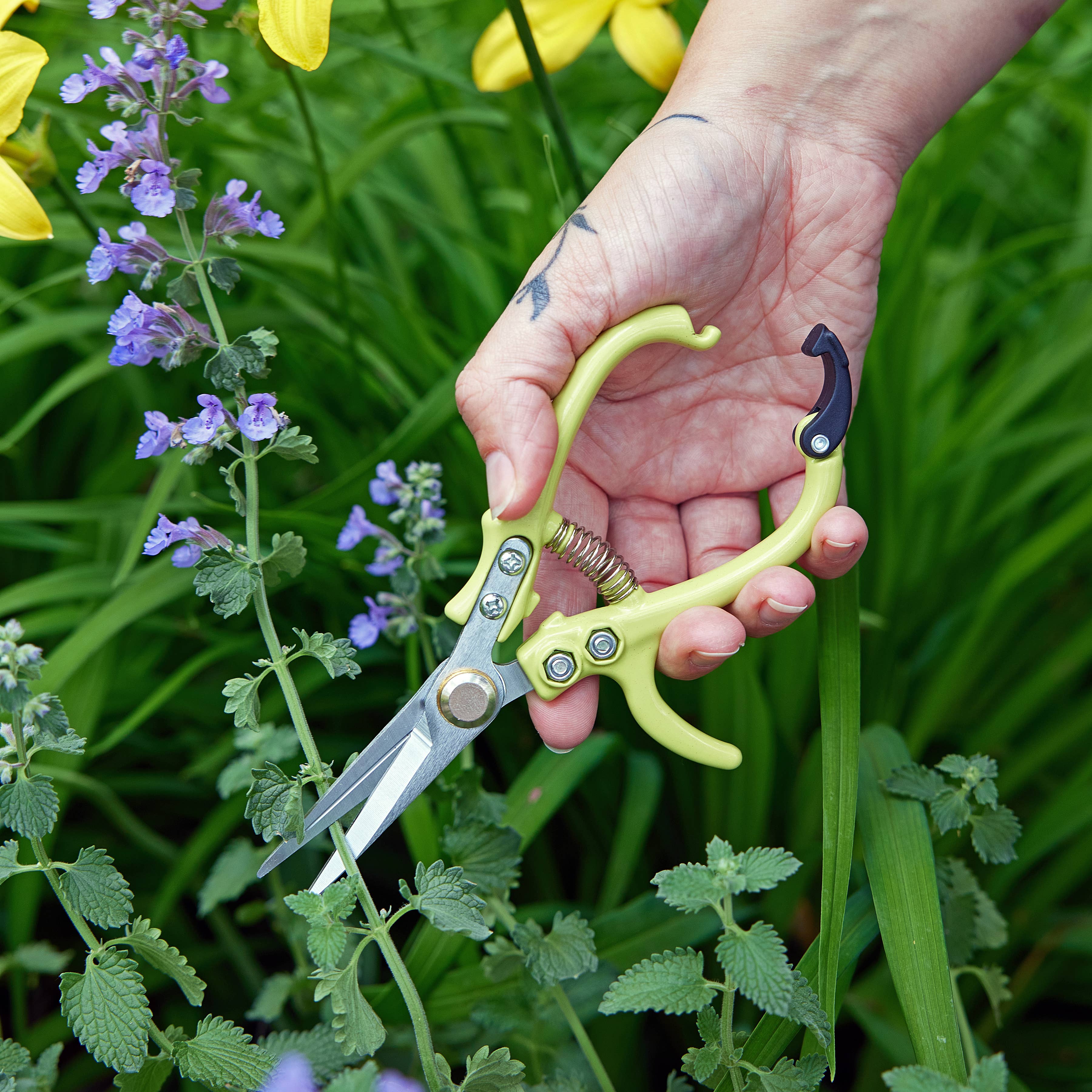 Colorful garden shears with comfortable grip handles