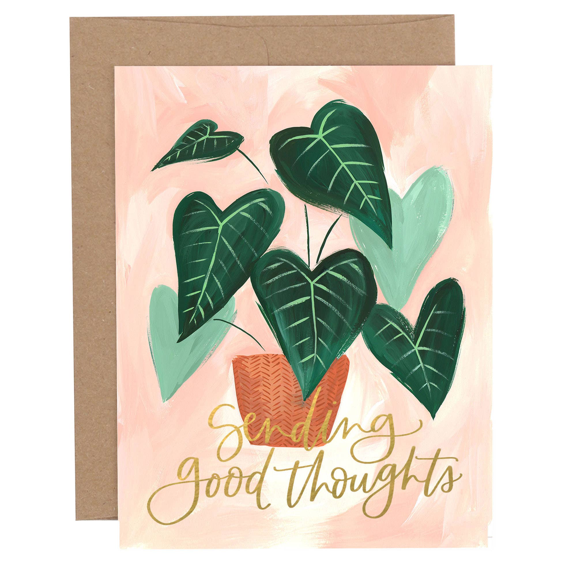 Greenhouse greeting card box set assorted card designs